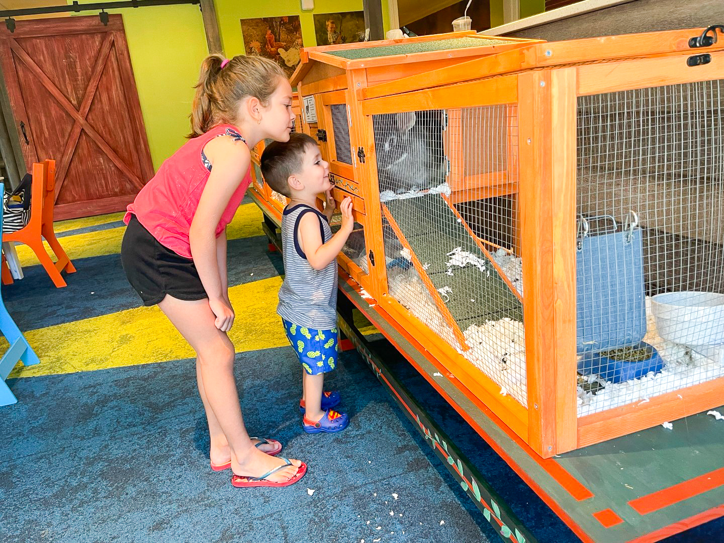 Ritz Carlton Orlando Grande Lakes Ritz Kids Rabbits