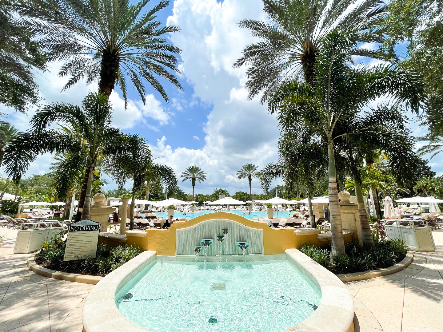 Ritz Carlton Orlando Grande Lakes water feature