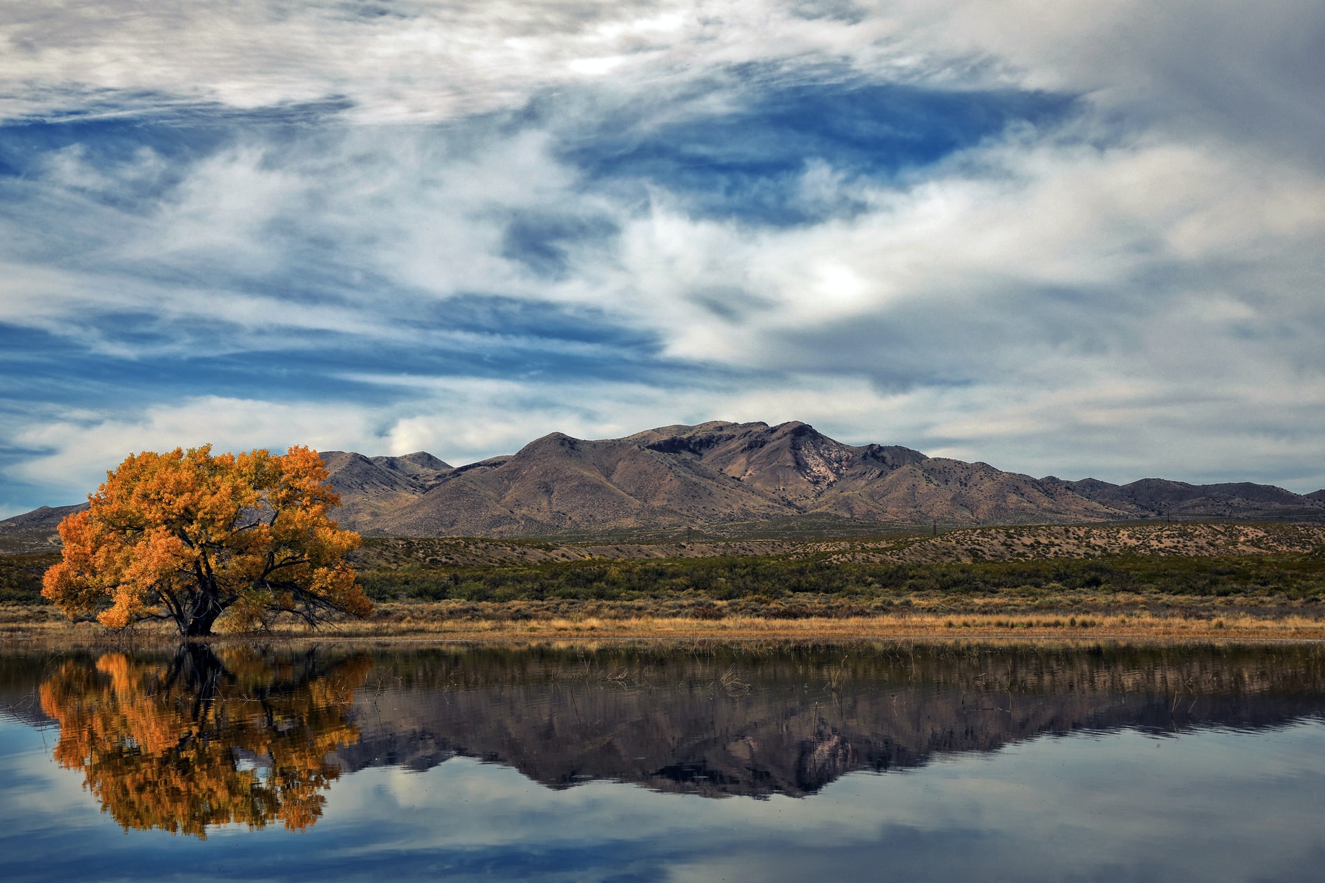 New Mexico during foliage season 