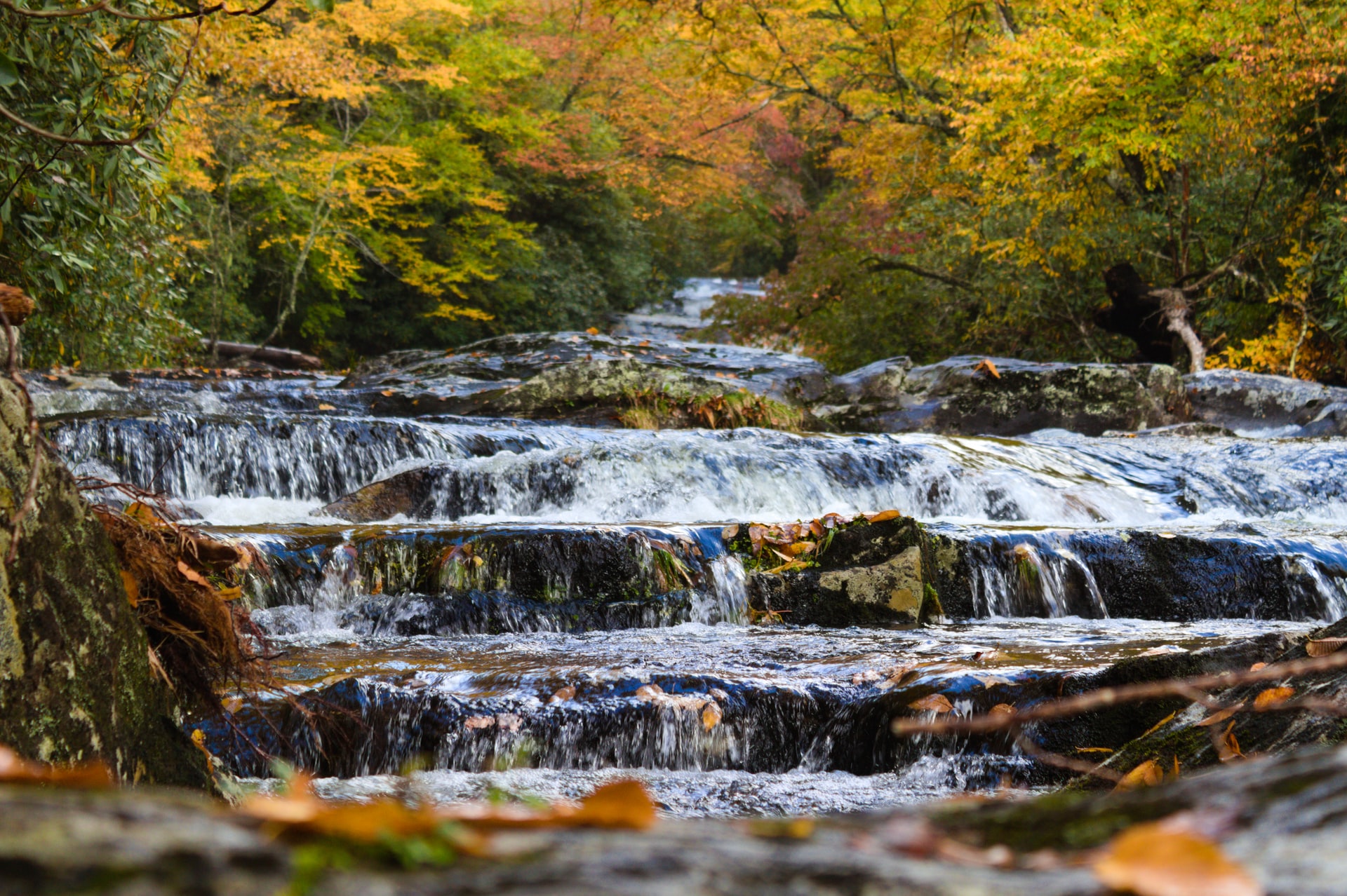 Snowbird Creek at Great Smoky Mountain National Park North Carolina 