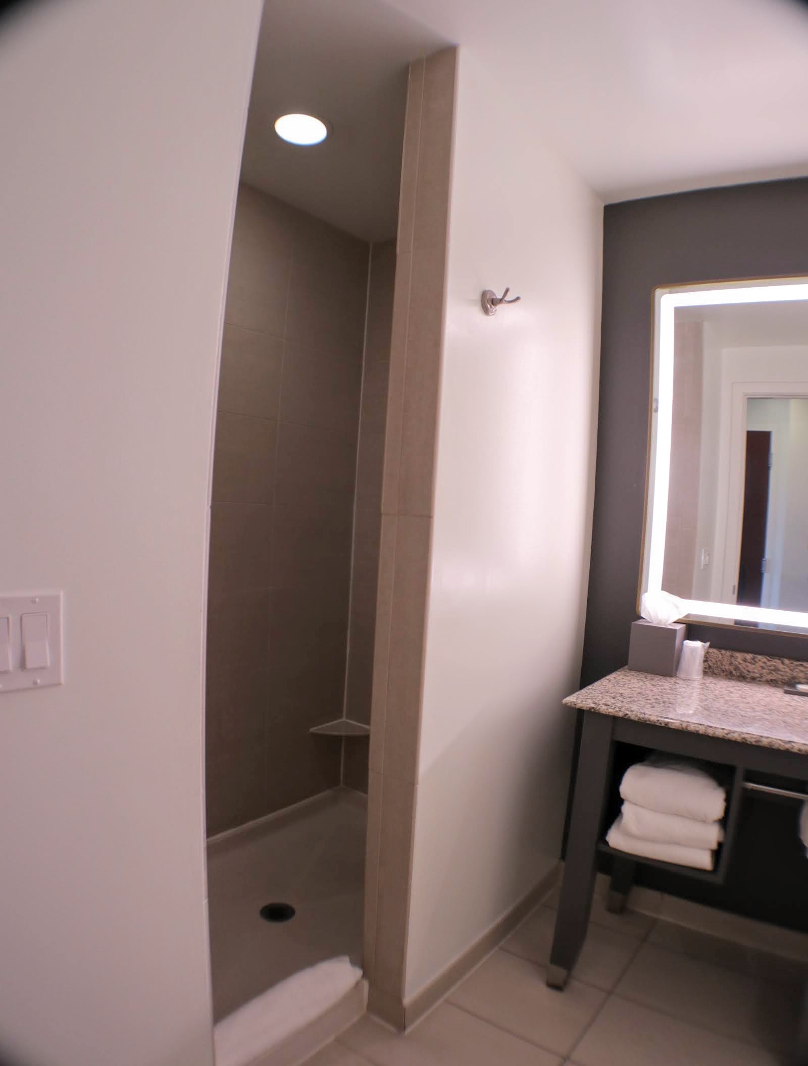 Andaz Savannah stand up shower entrance