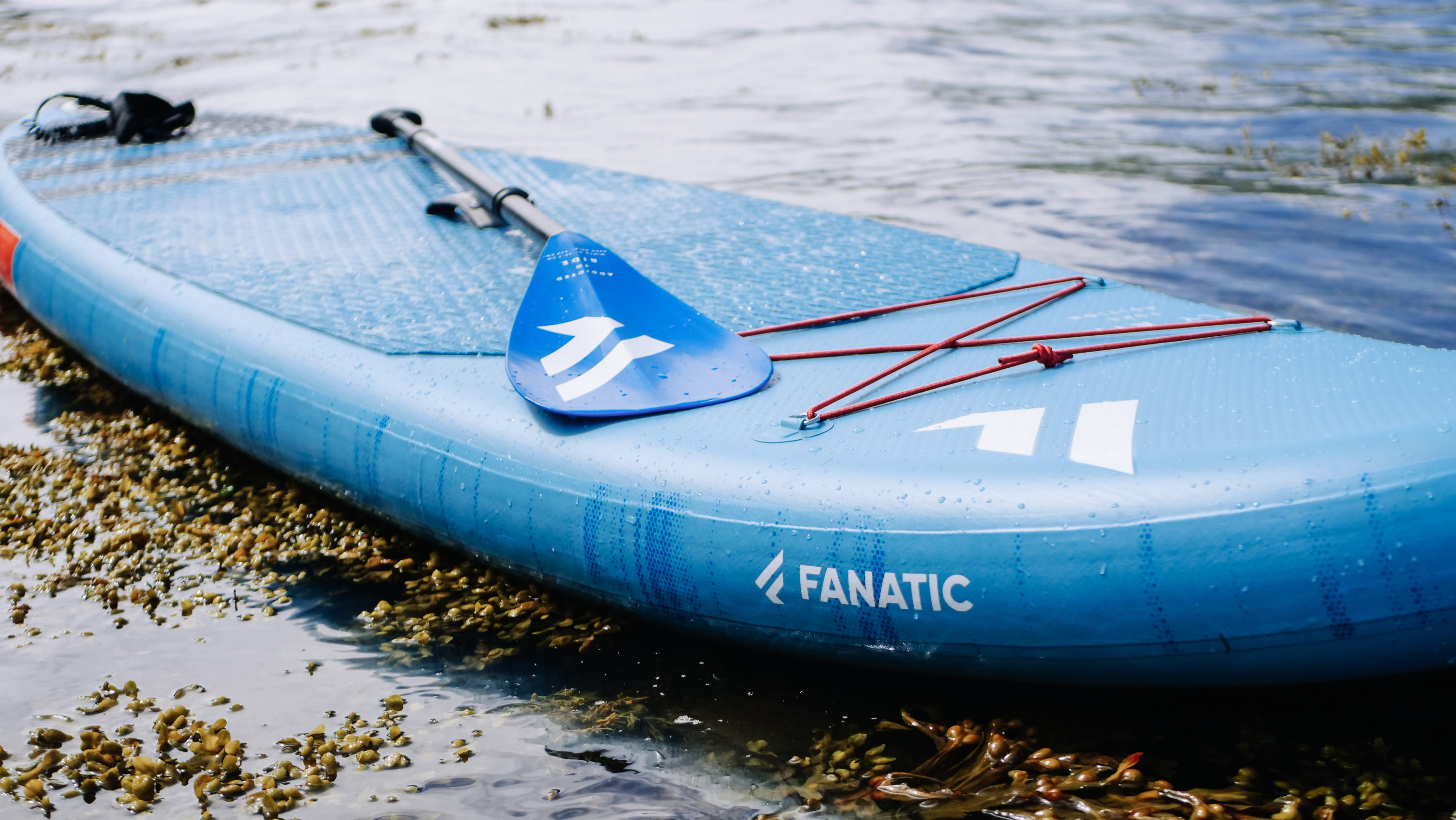 Paddleboard Thickness