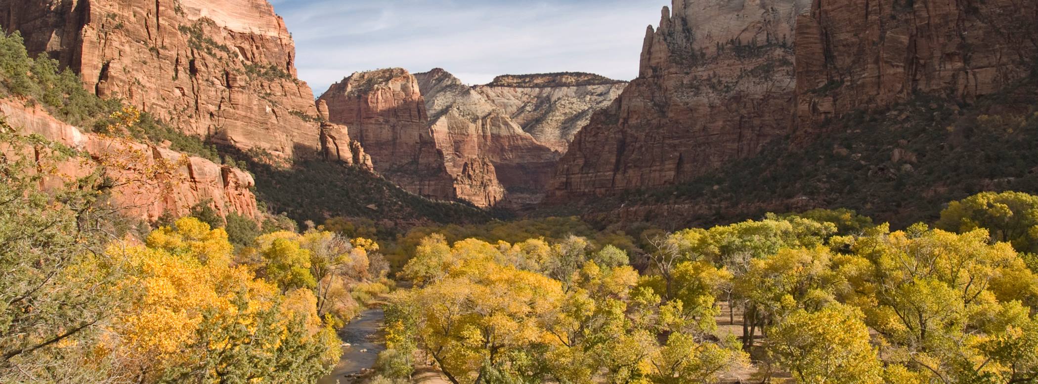 Zion Canyon fall colors