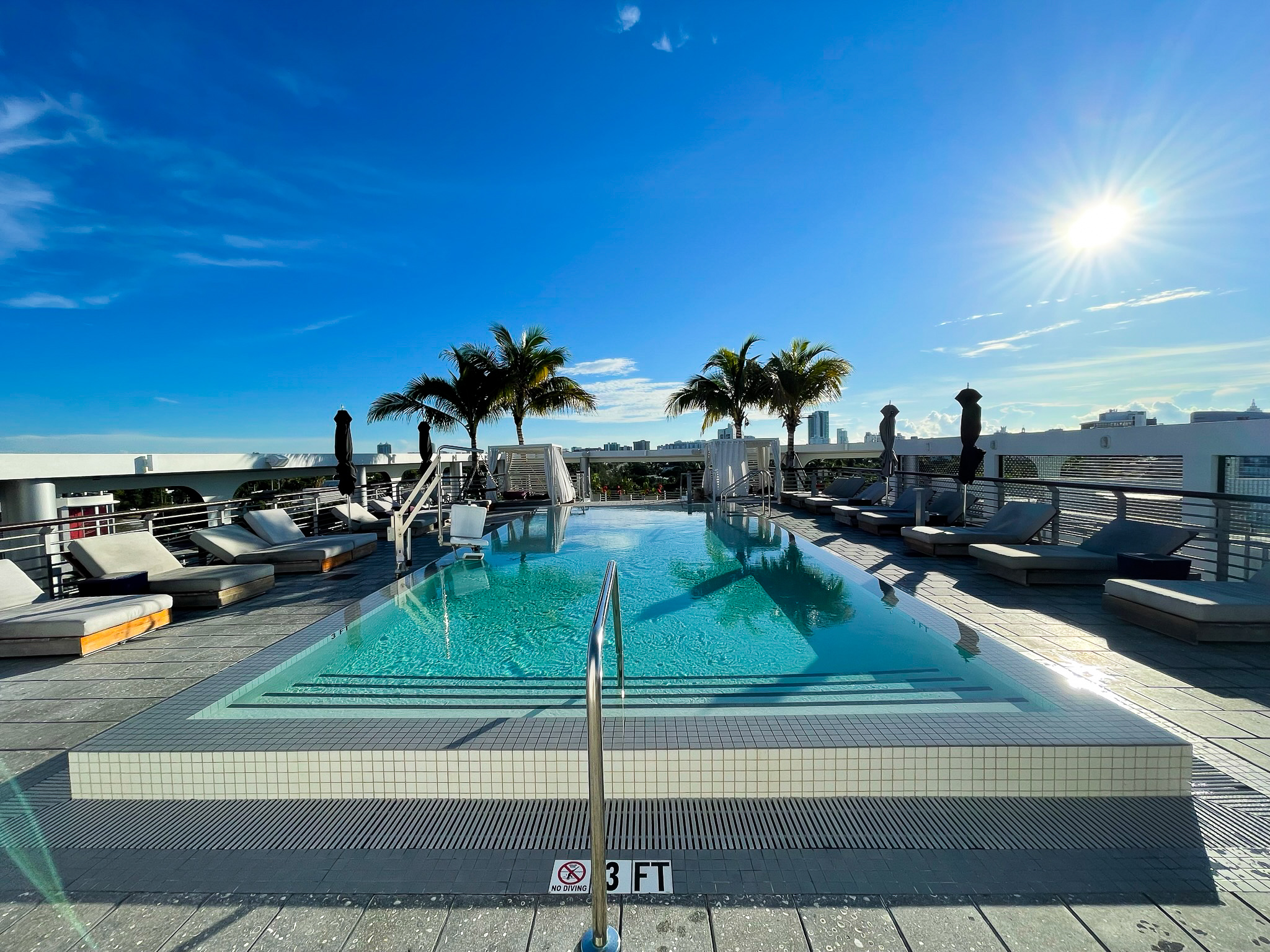 Kimpton Palomar South Beach palm trees and pool Kimpton Palomar South Beach palm trees and pool