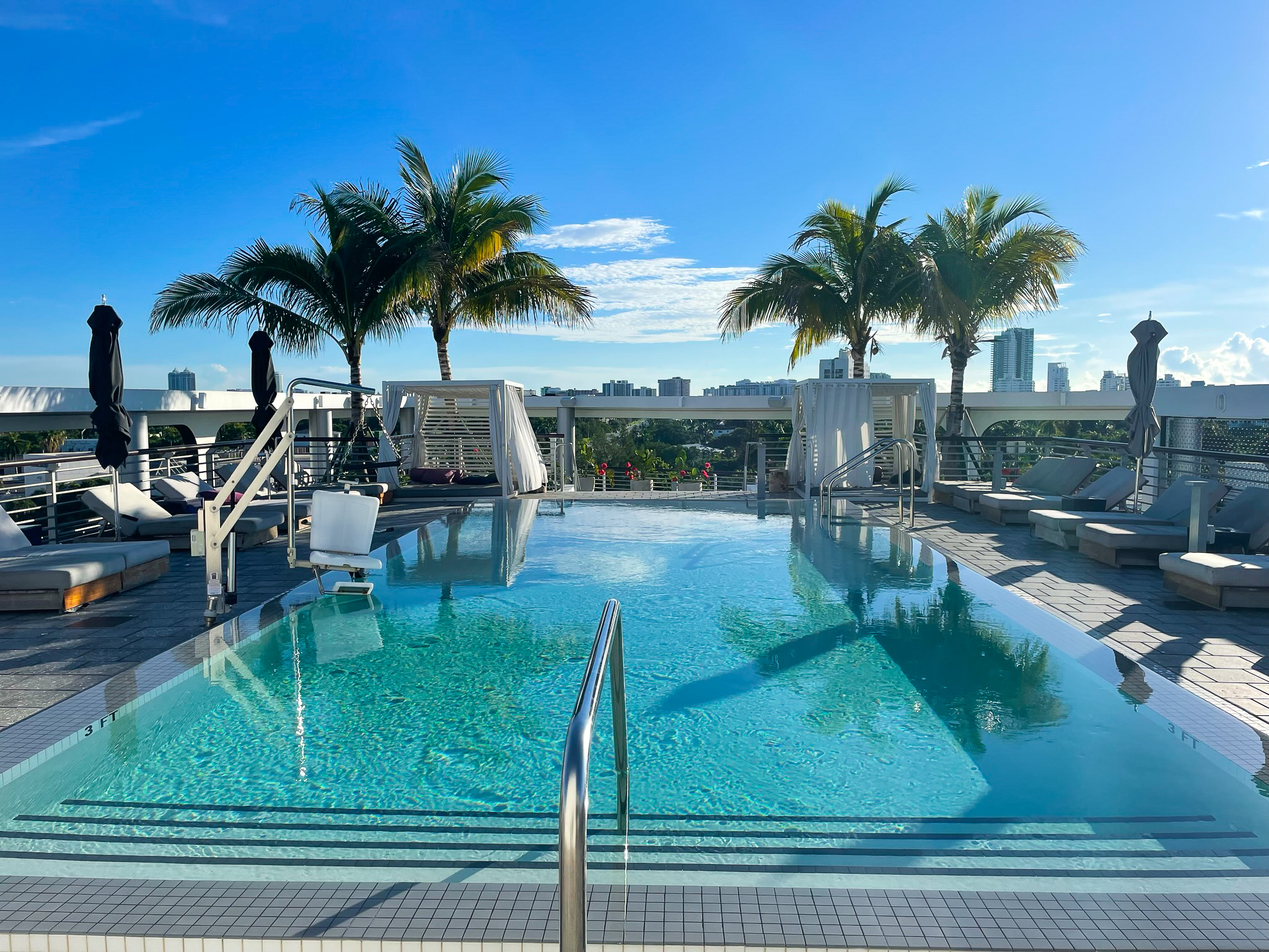 Kimpton Palomar South Beach pool and palm trees