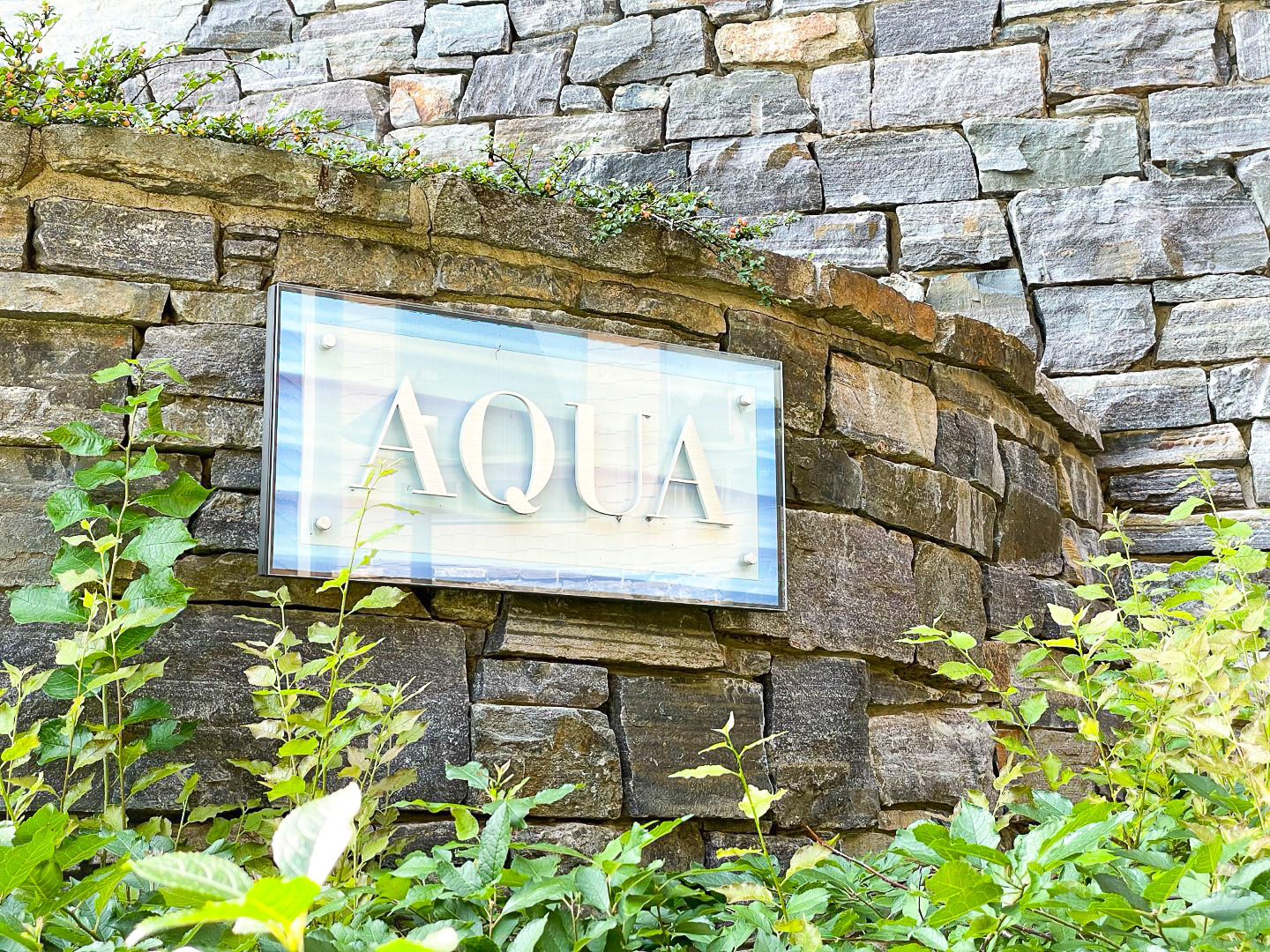 Aqua at The Lodge at Spruce Peak Destination by Hyatt Stowe Vermont