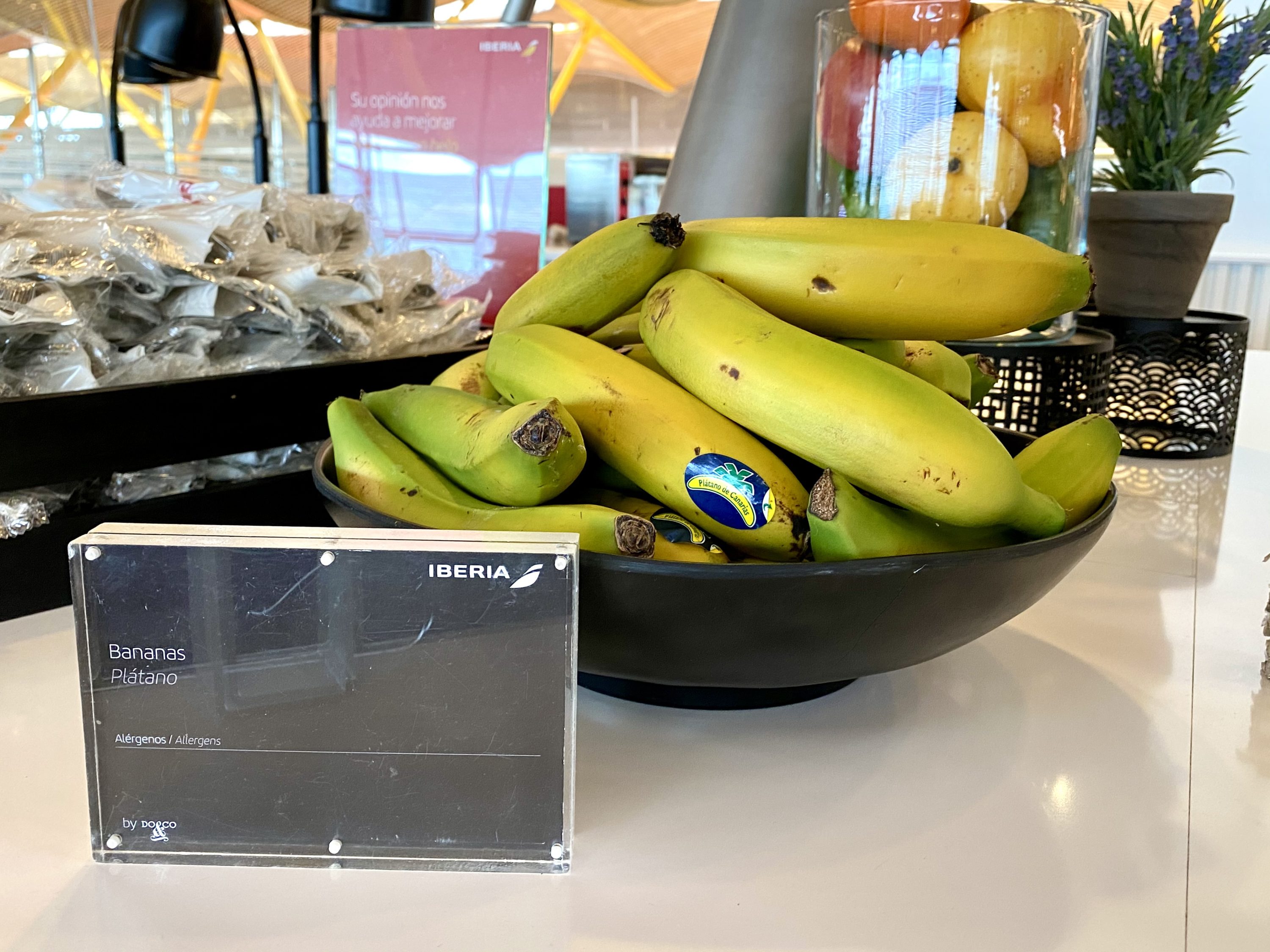 Iberia Sala VIP Dali Madrid bananas