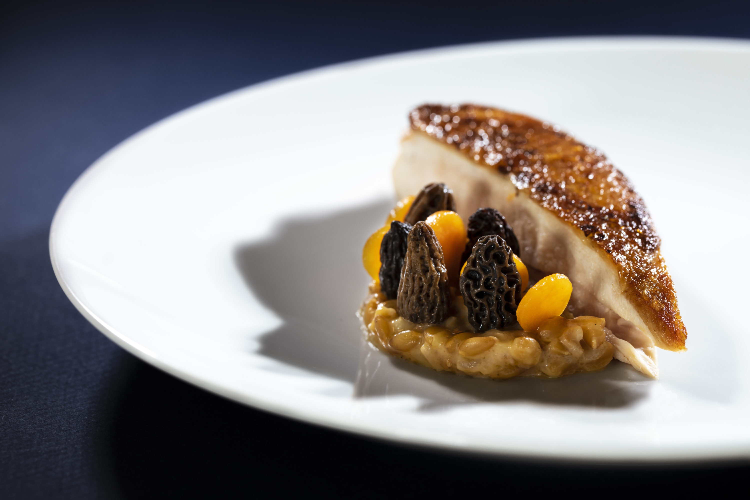 Mathieu Viannay Filet de volaille aux morilles risotto depeautre et butternut ©Air France