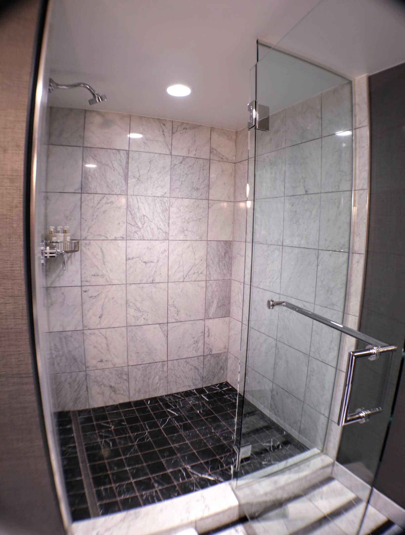 Shower in Viceroy King room