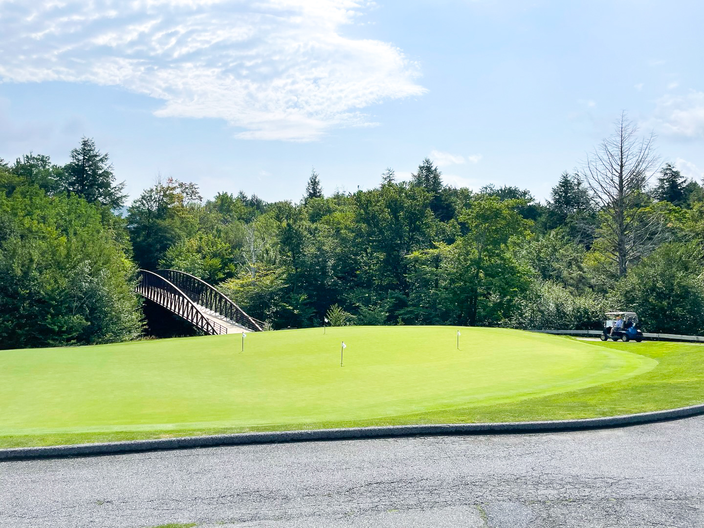 The Lodge at Spruce Peak Destination by Hyatt Stowe Vermont Golf Course