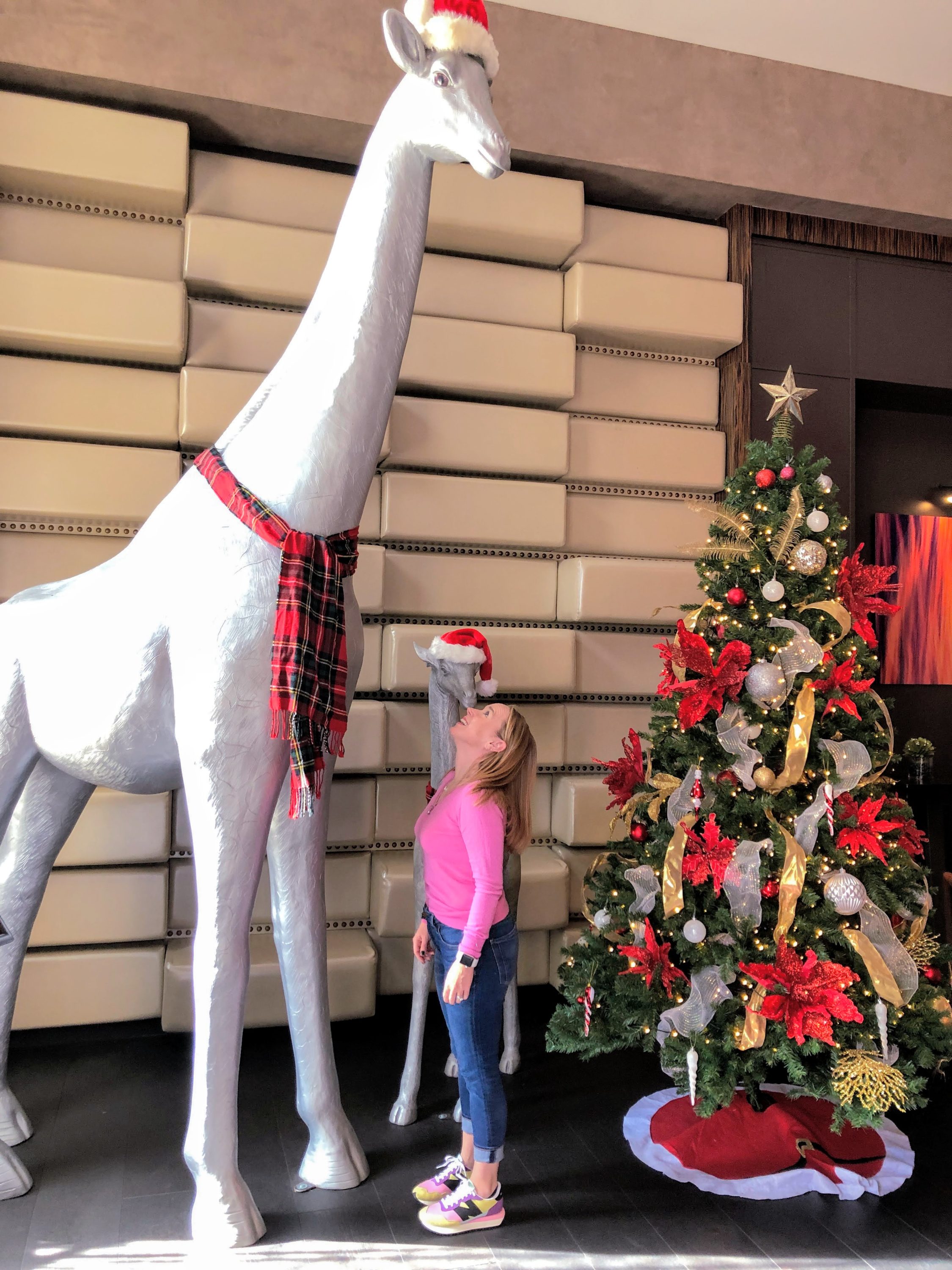 Andaz Giraffe