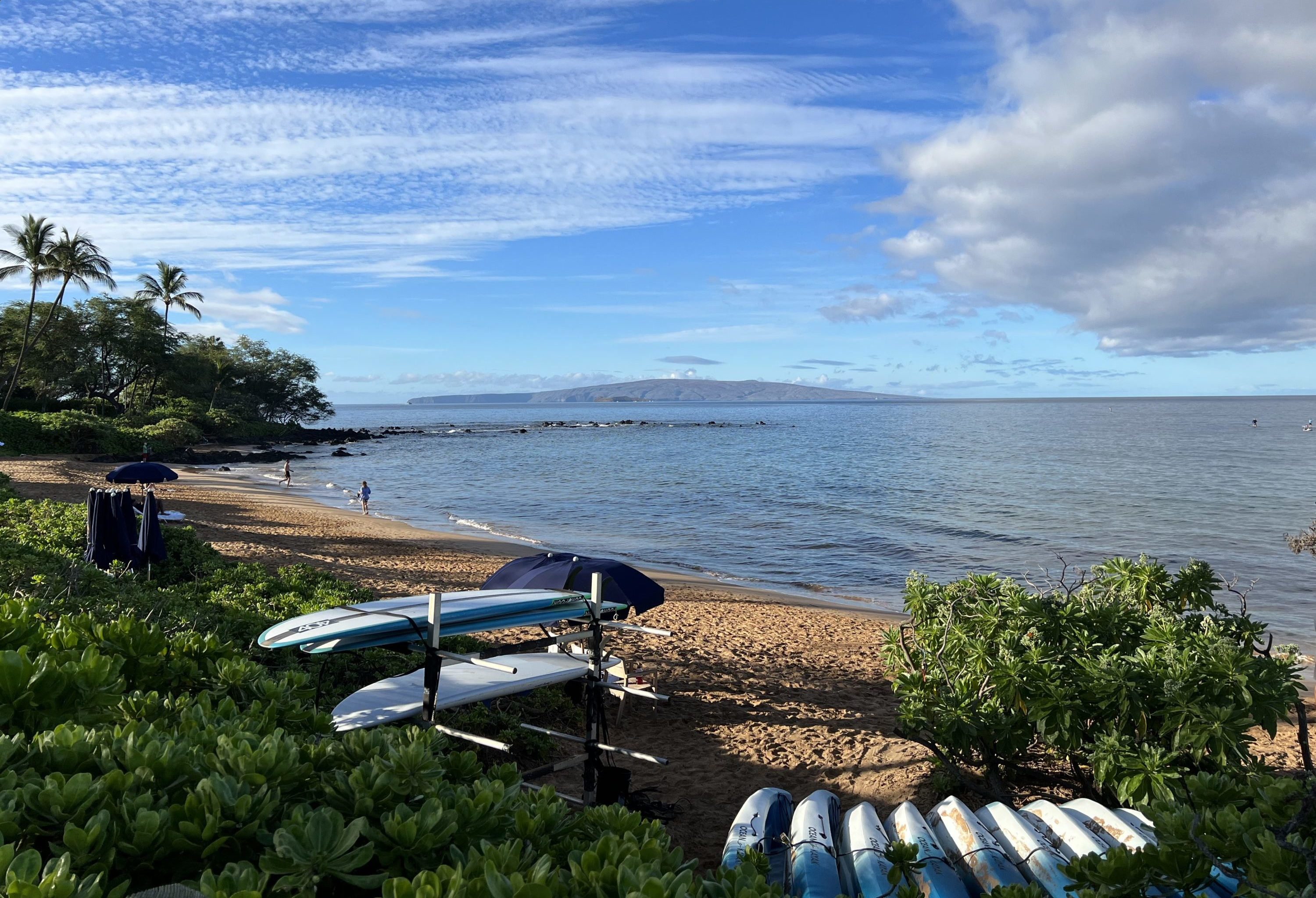 Andaz Maui Beach with Boards
