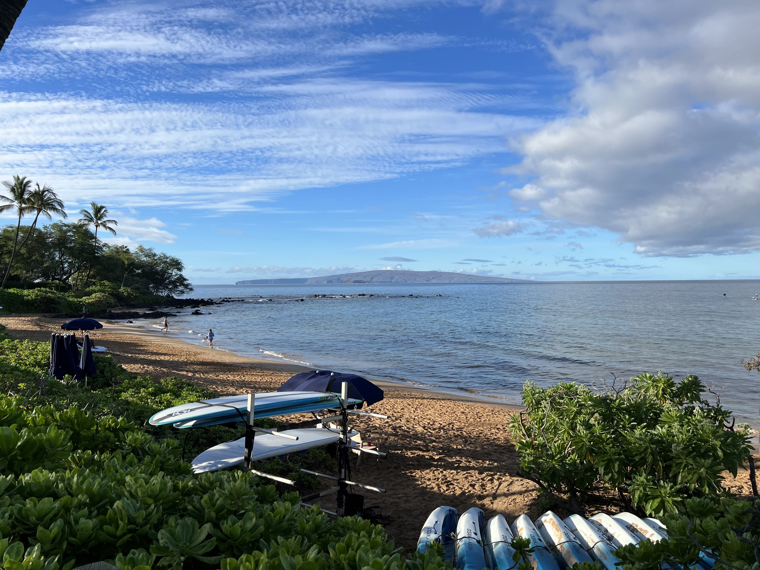 Andaz Maui Beach with Boards