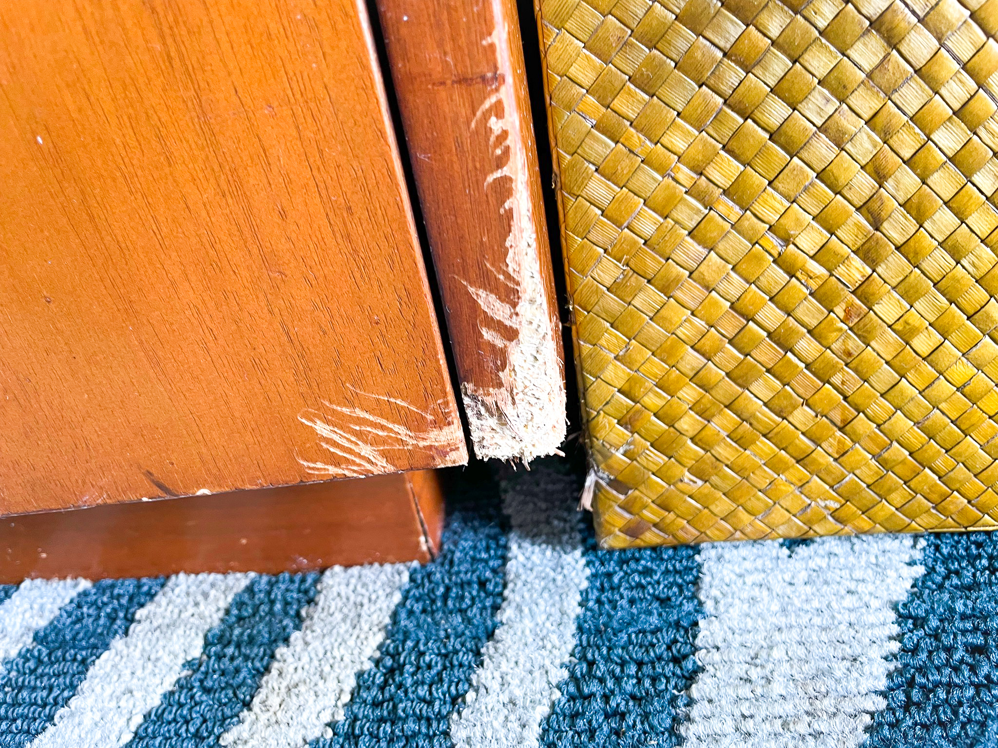 Chewed furniture at the Hyatt Regency Grand Cypress Orlando