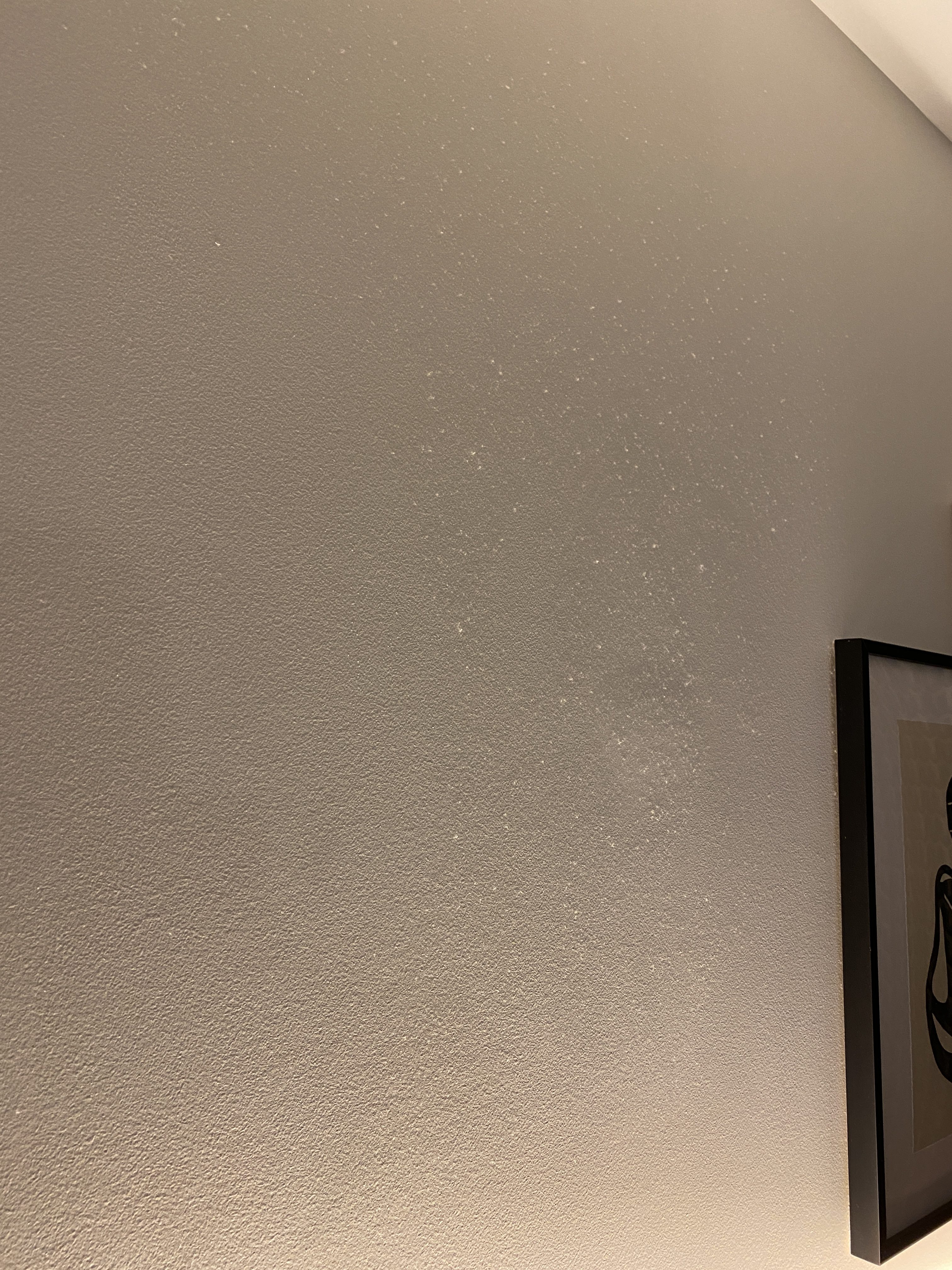 Confidante Wall