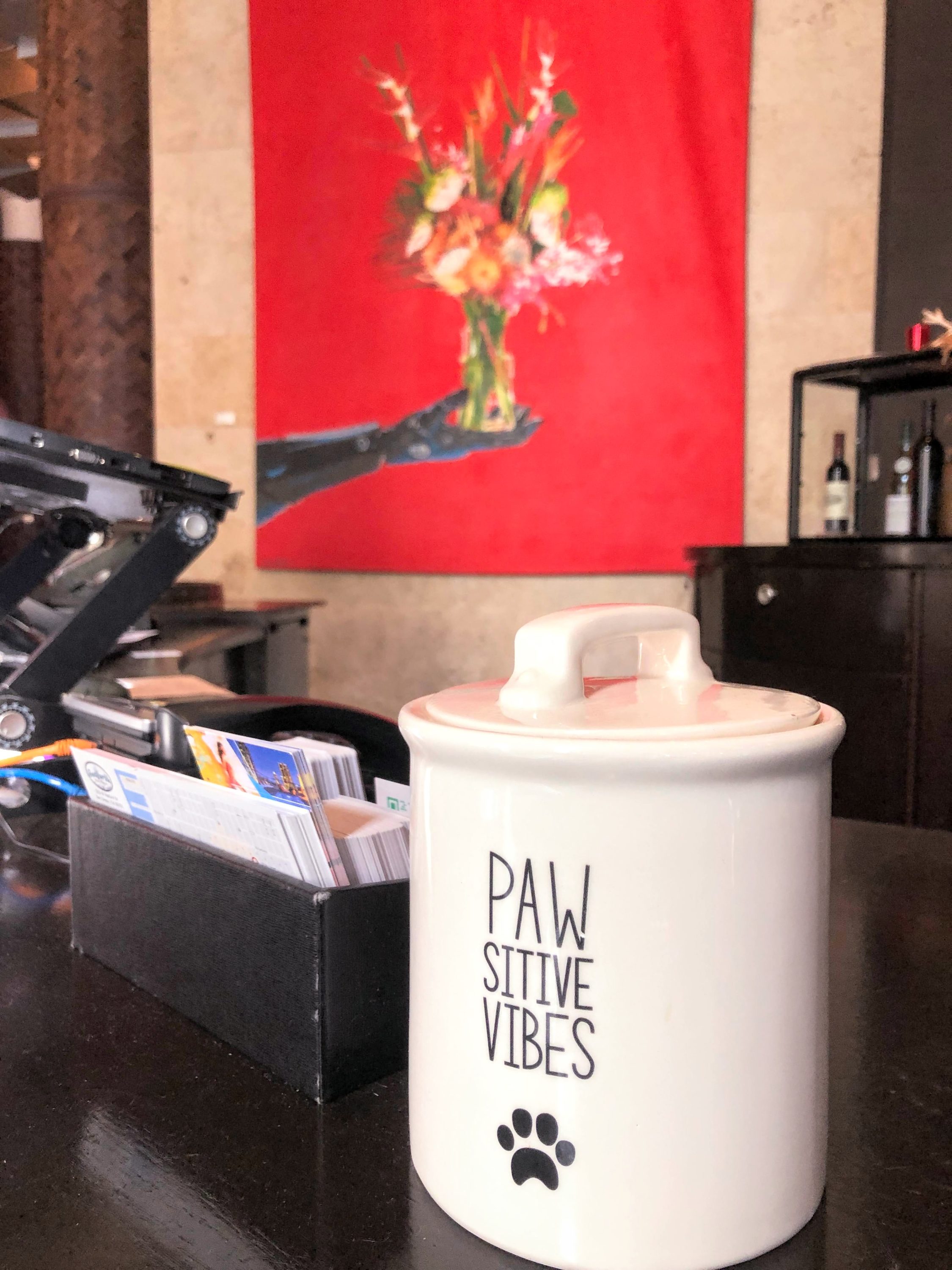 Dog treats at Andaz San Diego
