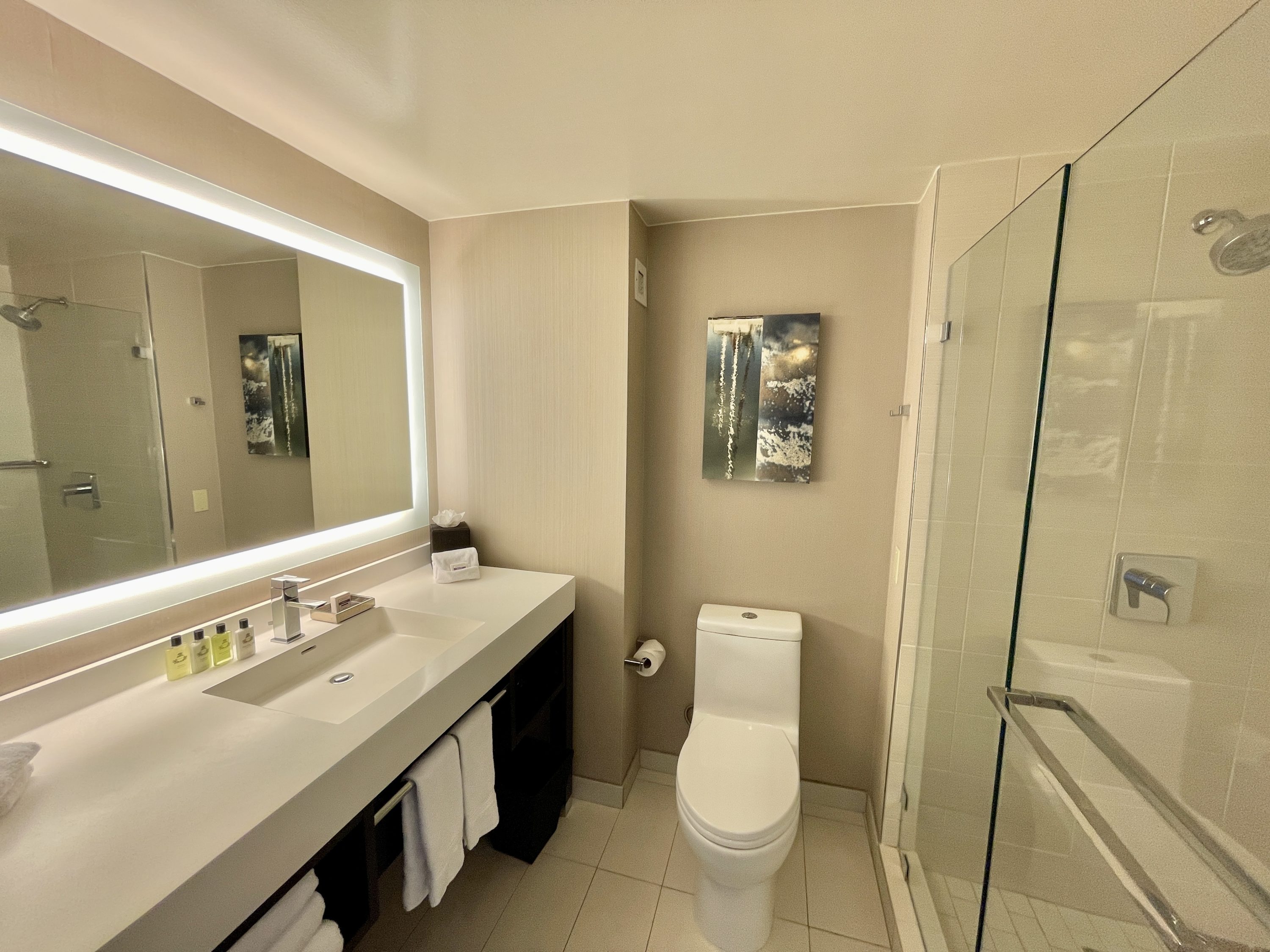 Manchester Grand Hyatt San Diego Bathroom