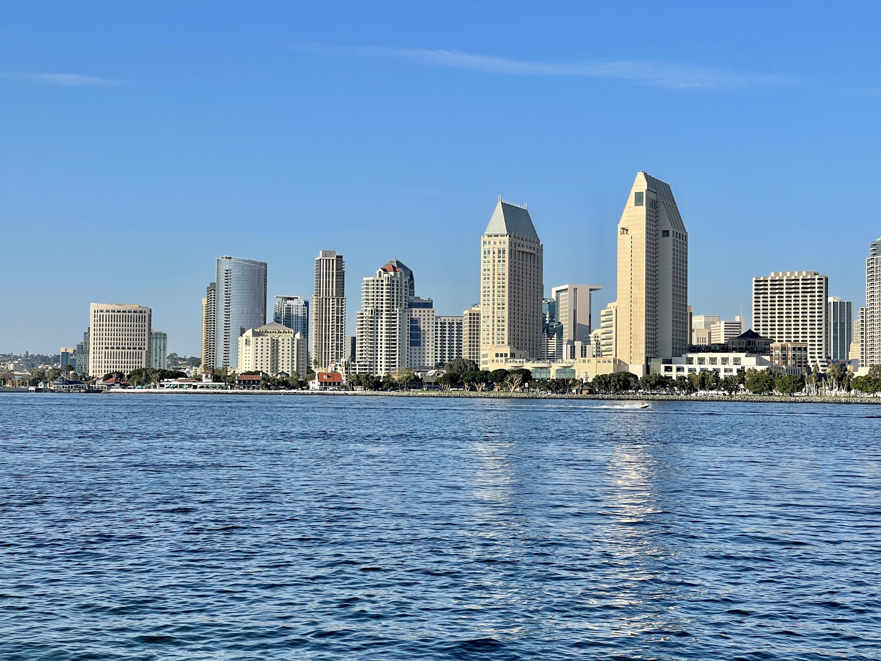 Manchester Grand Hyatt San Diego Skyline View