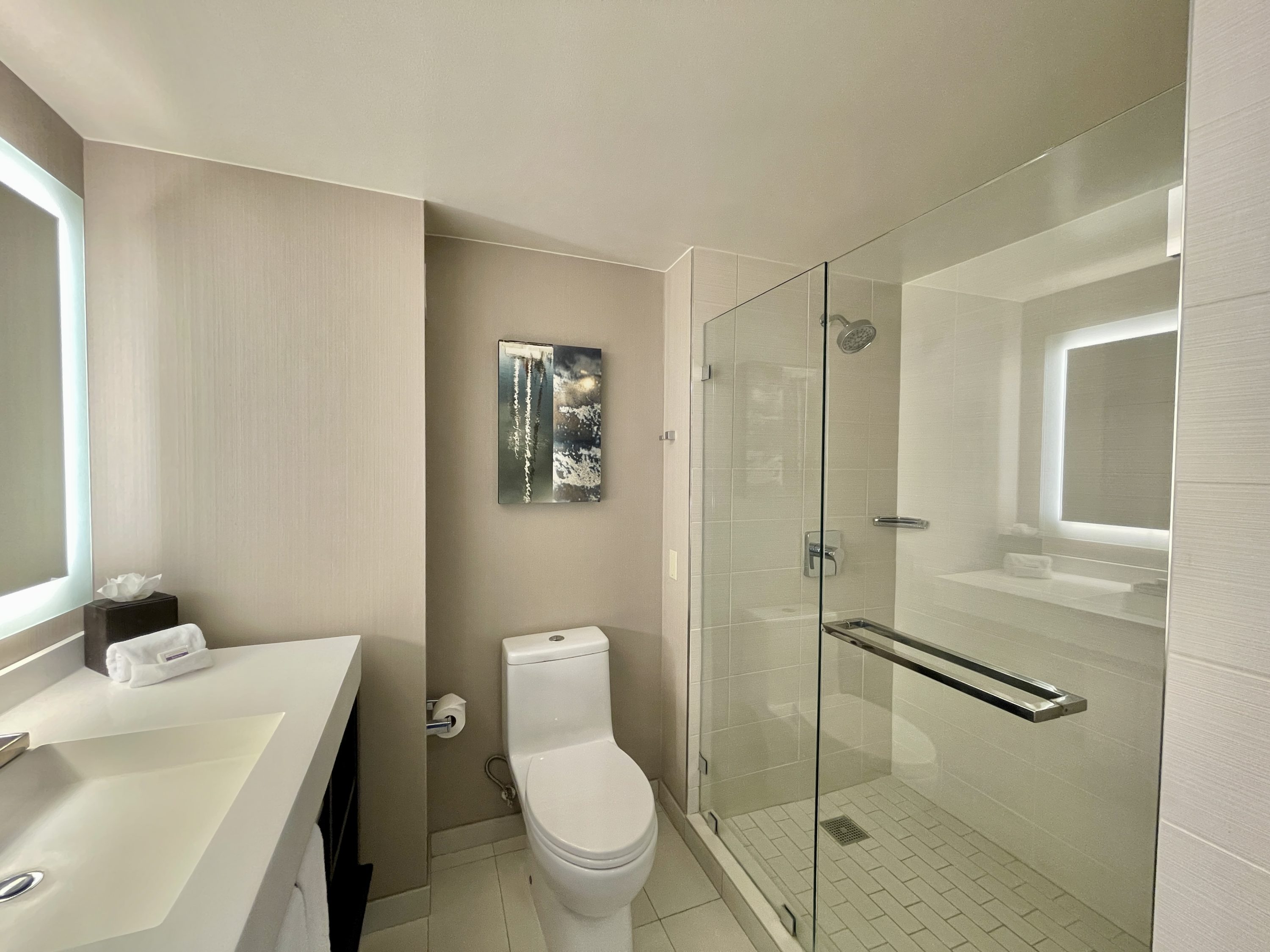 Manchester Grand Hyatt San Diego Toilet Shower