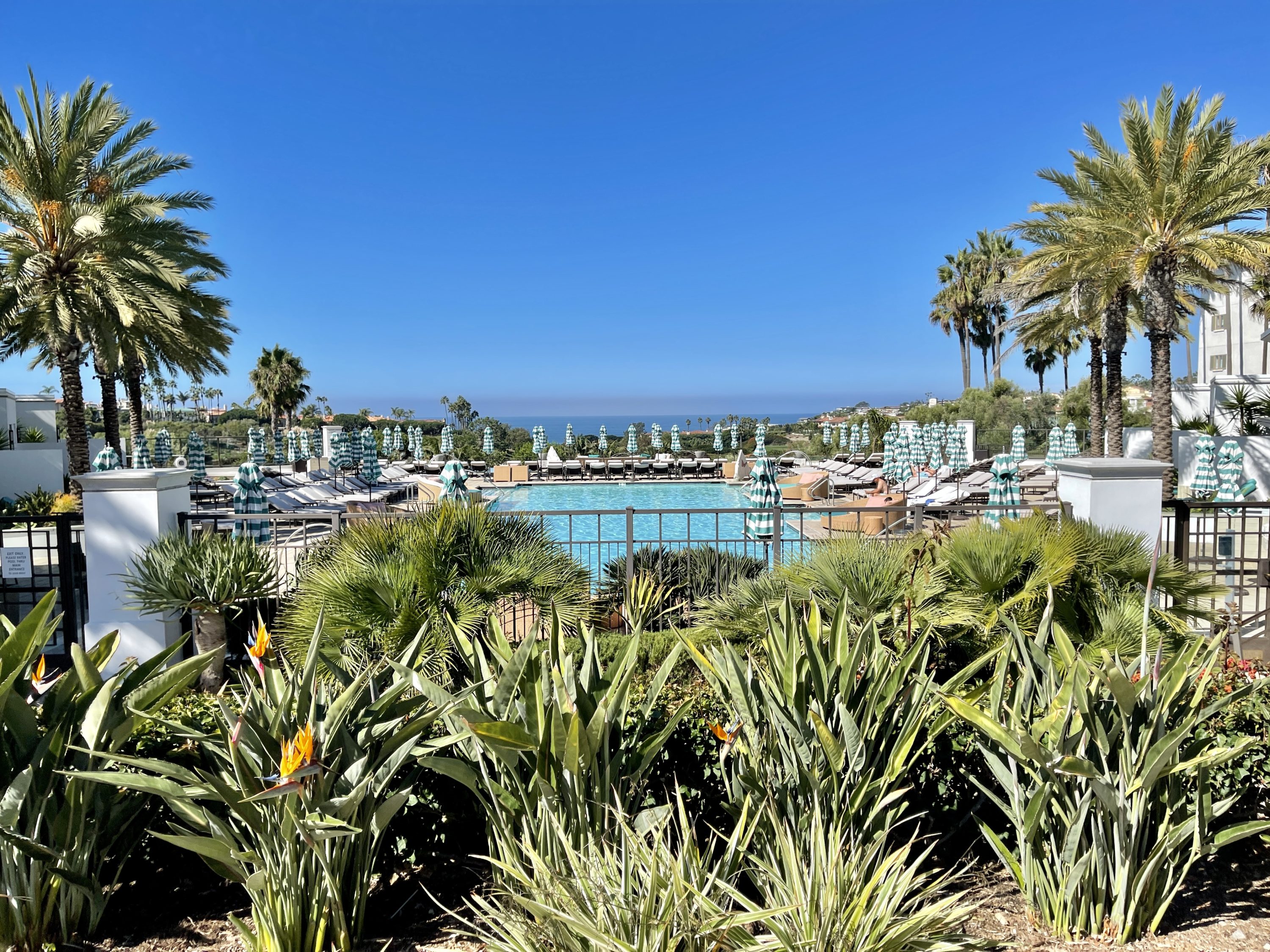 Waldorf Astoria Monarch Beach Resort Club Monarch Pool Entrance