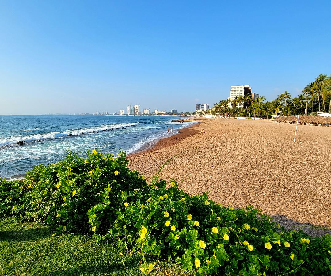 Sheraton Buganvilias Resort Beach