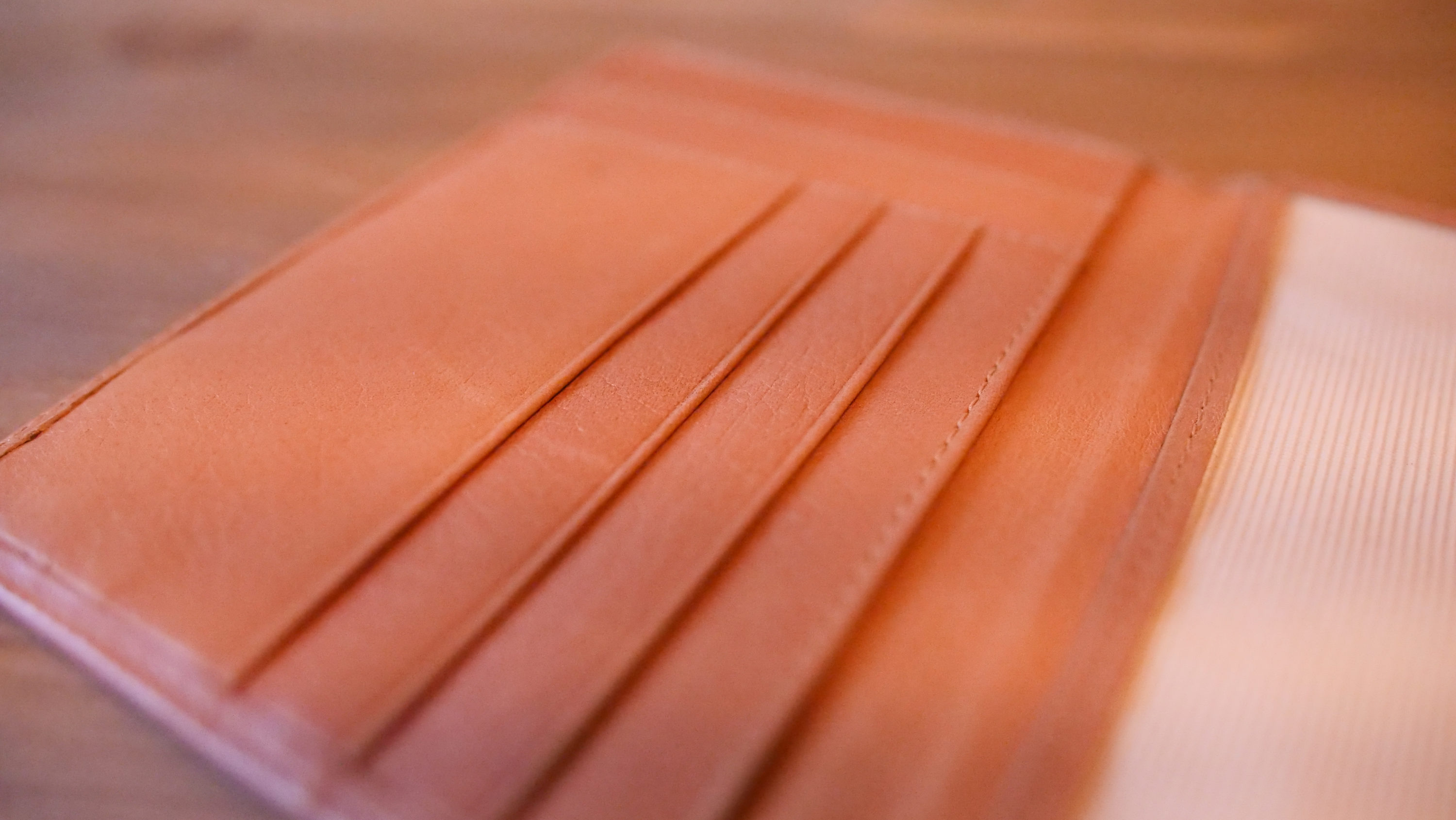 Passport Cover Slots