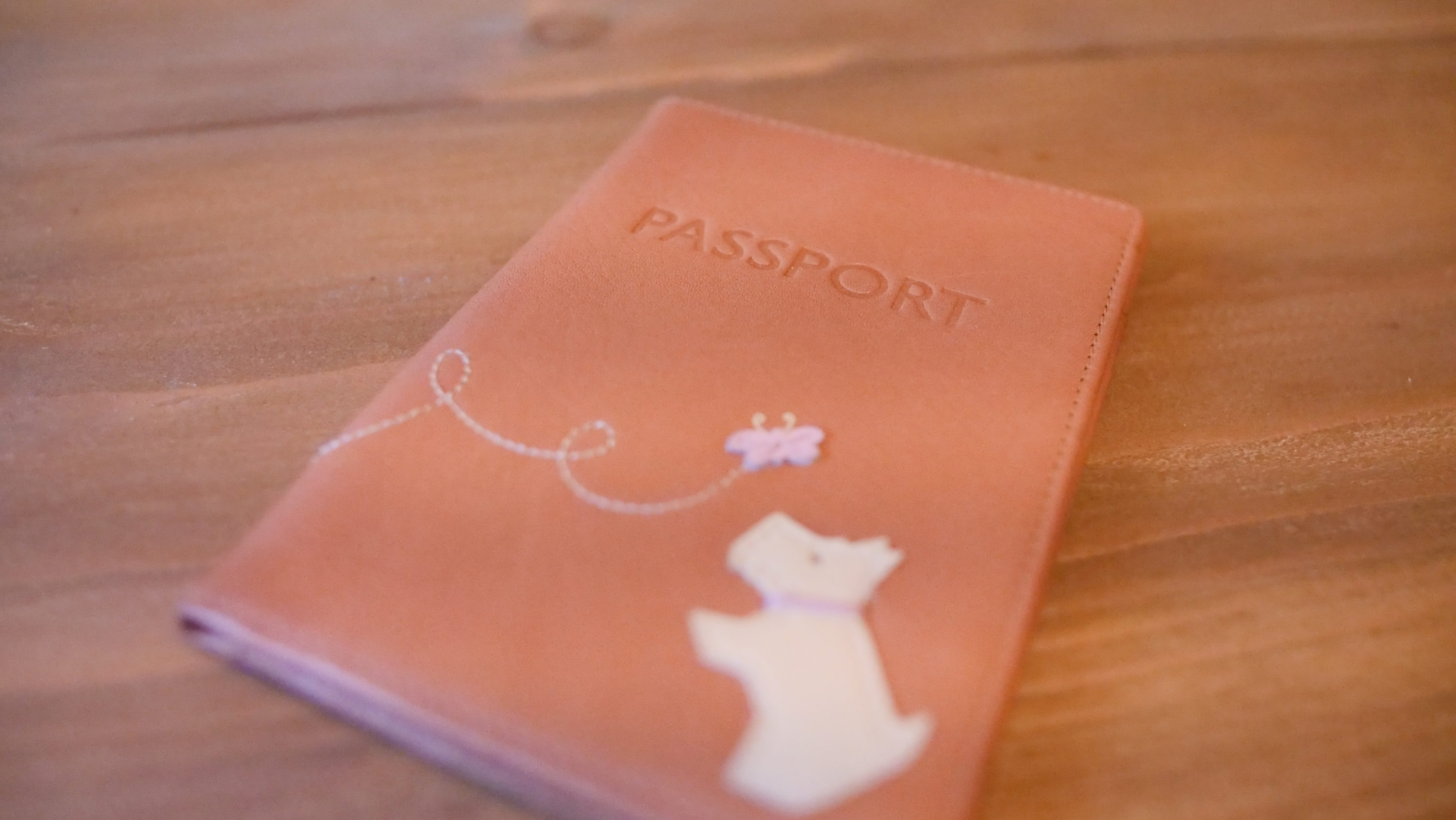 Passport Cover