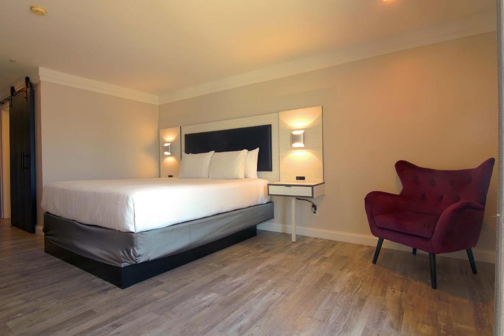 Art Hotel Laguna Beach