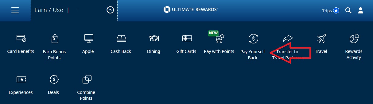 Chase Pay Yourself Back