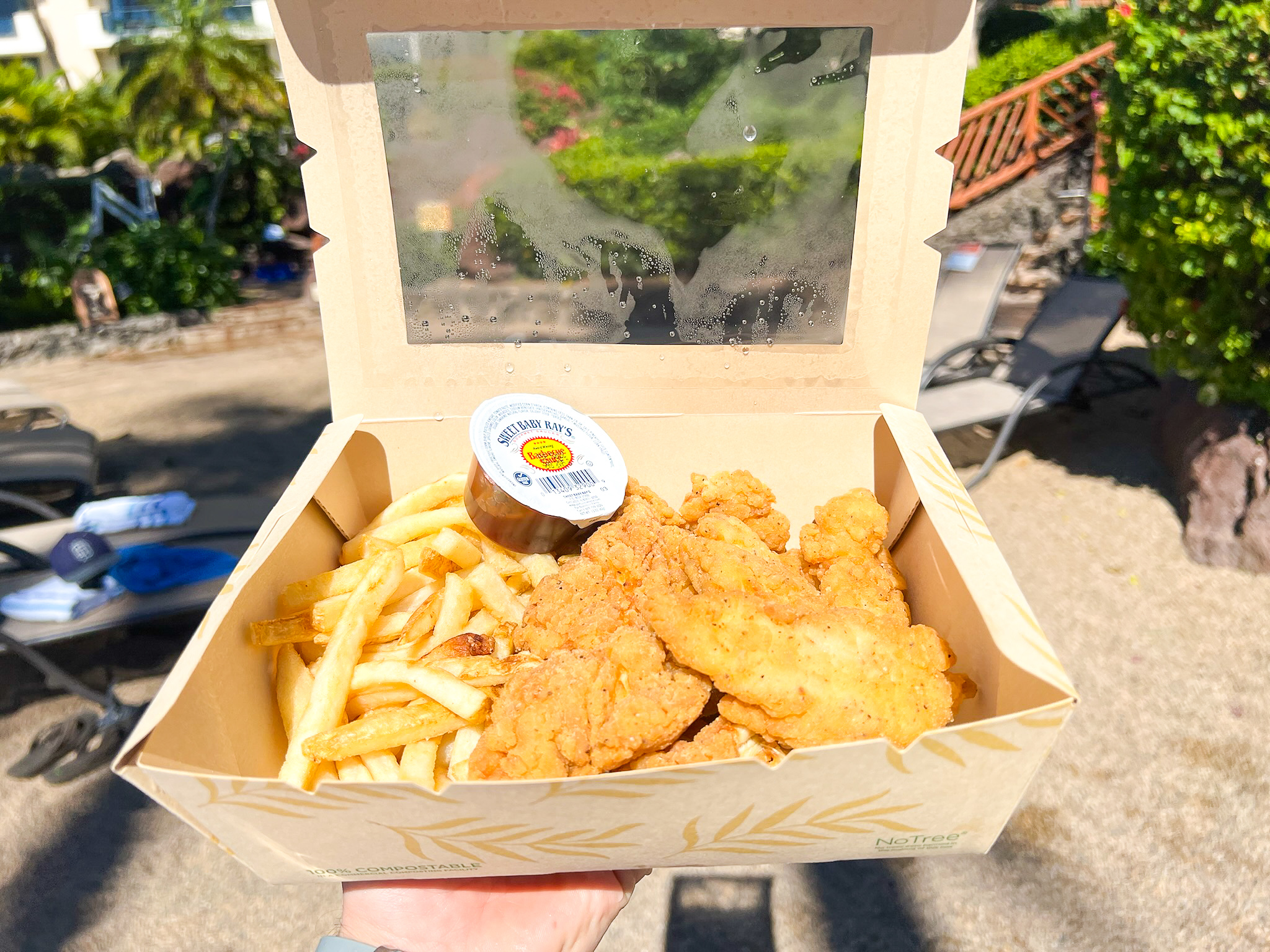 Hyatt Regency Maui Resort and Spa Grotto Bar chicken fingers