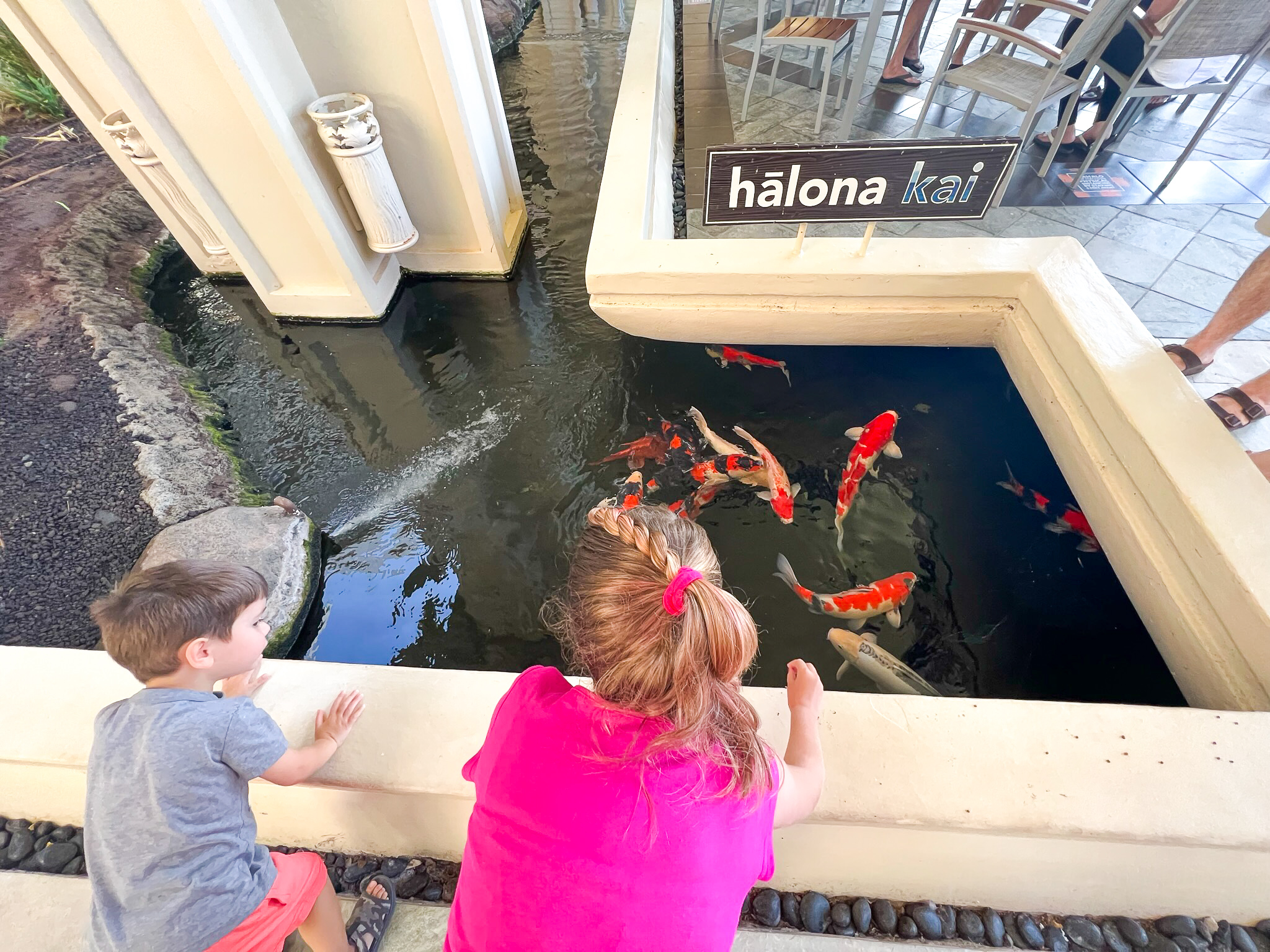 Hyatt Regency Maui Resort and Spa Koi Pond