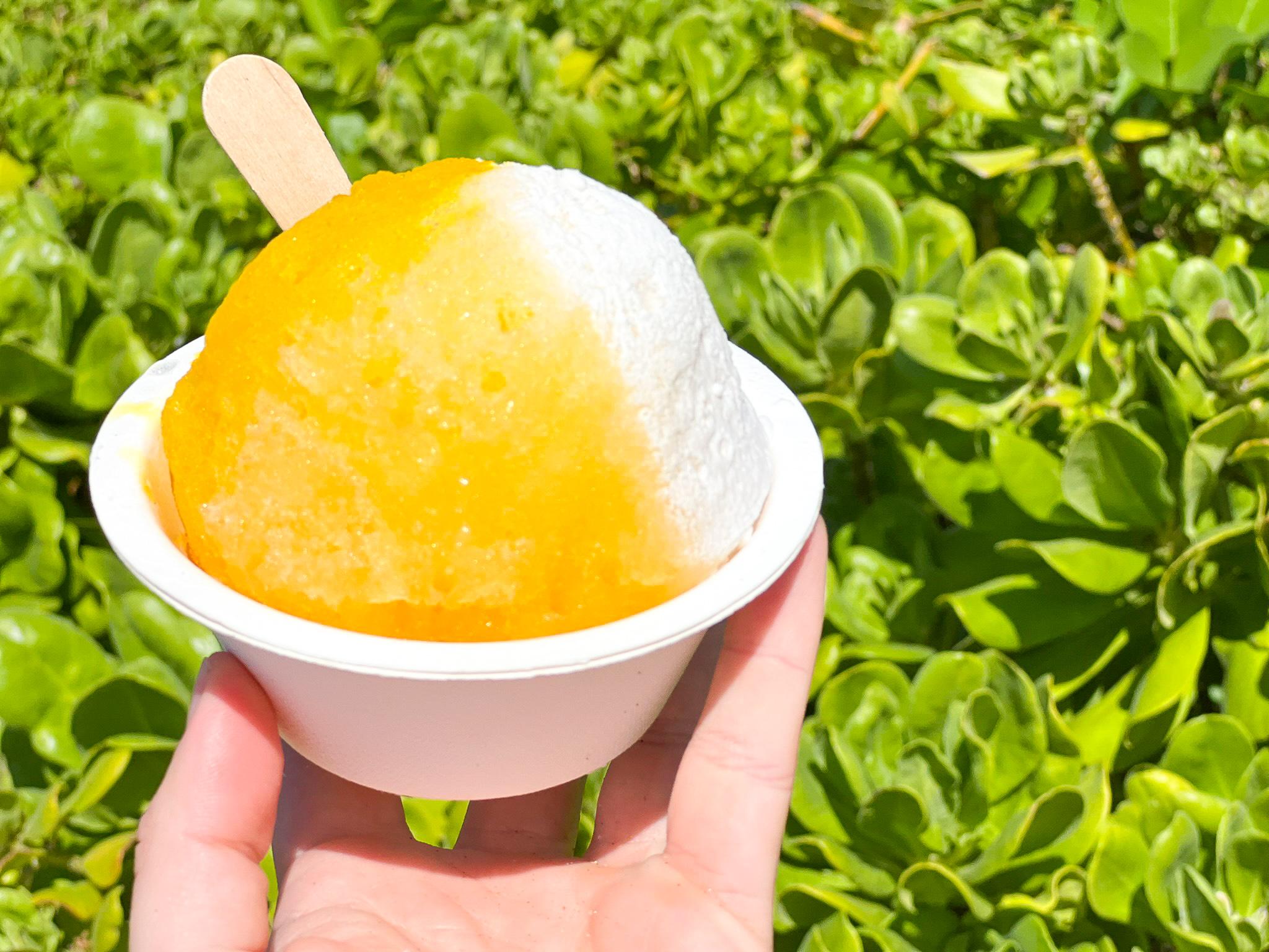 Hyatt Regency Maui Resort and Spa Shave Ice