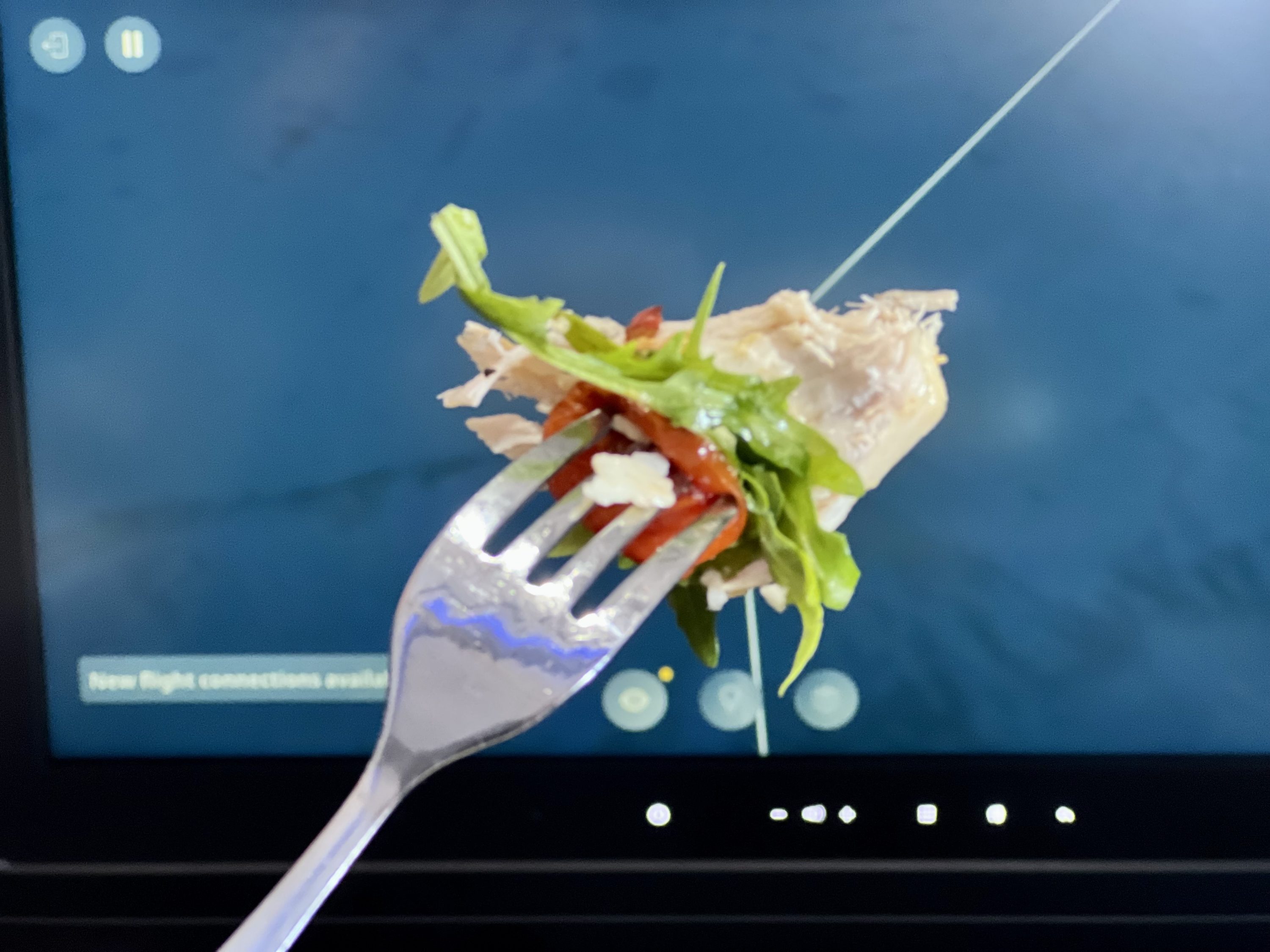JetBlue Mint A321LR food close up