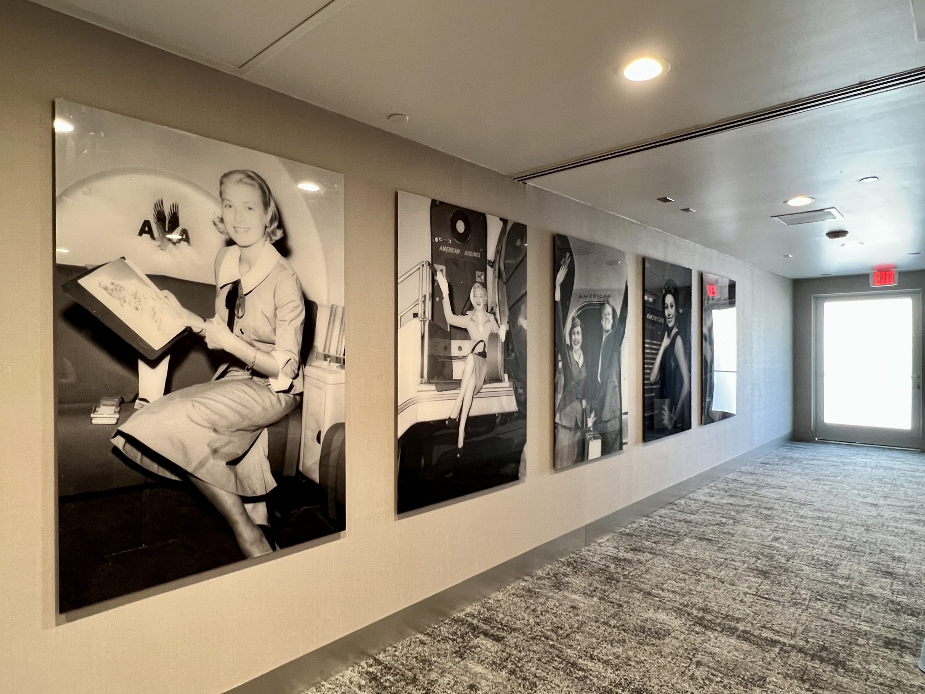 American Airlines Flagship First LAX check in art
