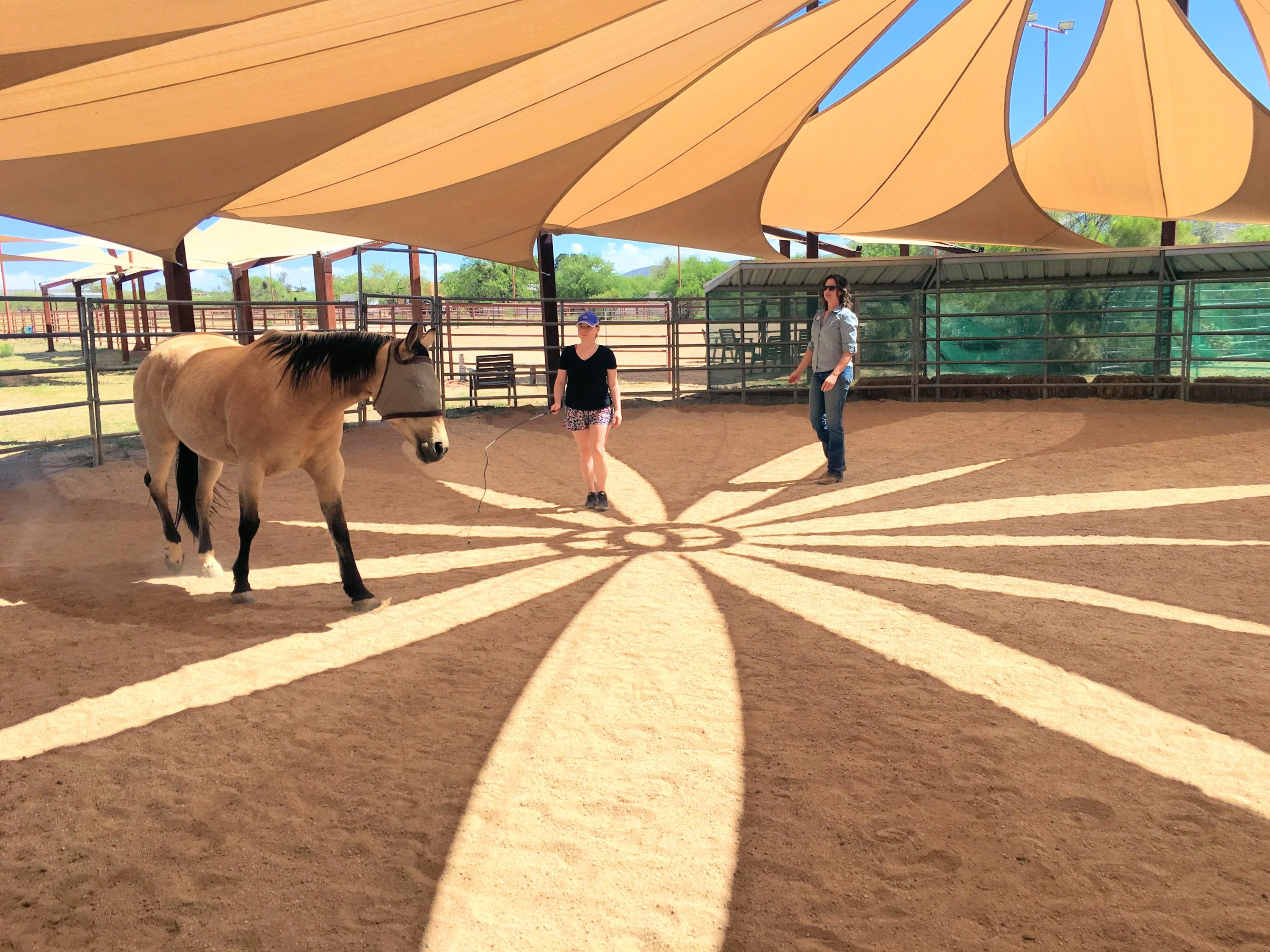 Miraval Equine Experience