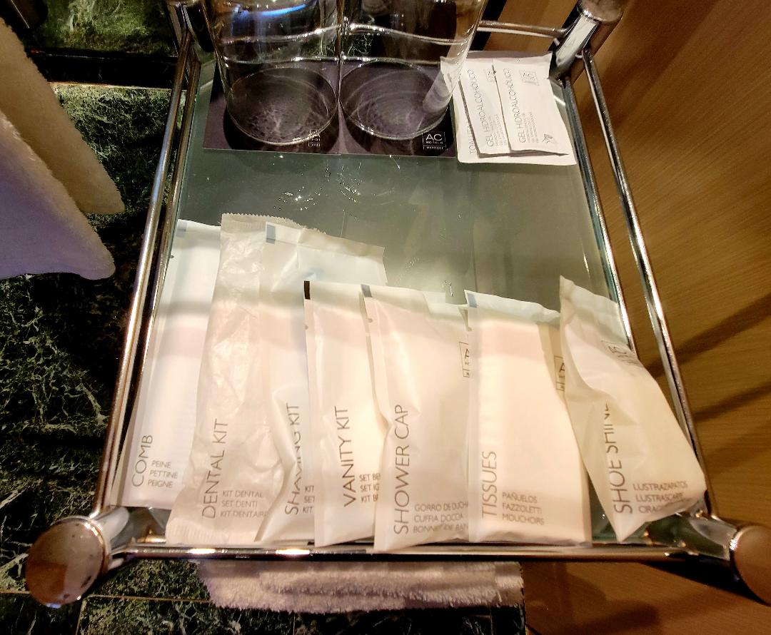 AC Hotel Malaga Palacio Amenities
