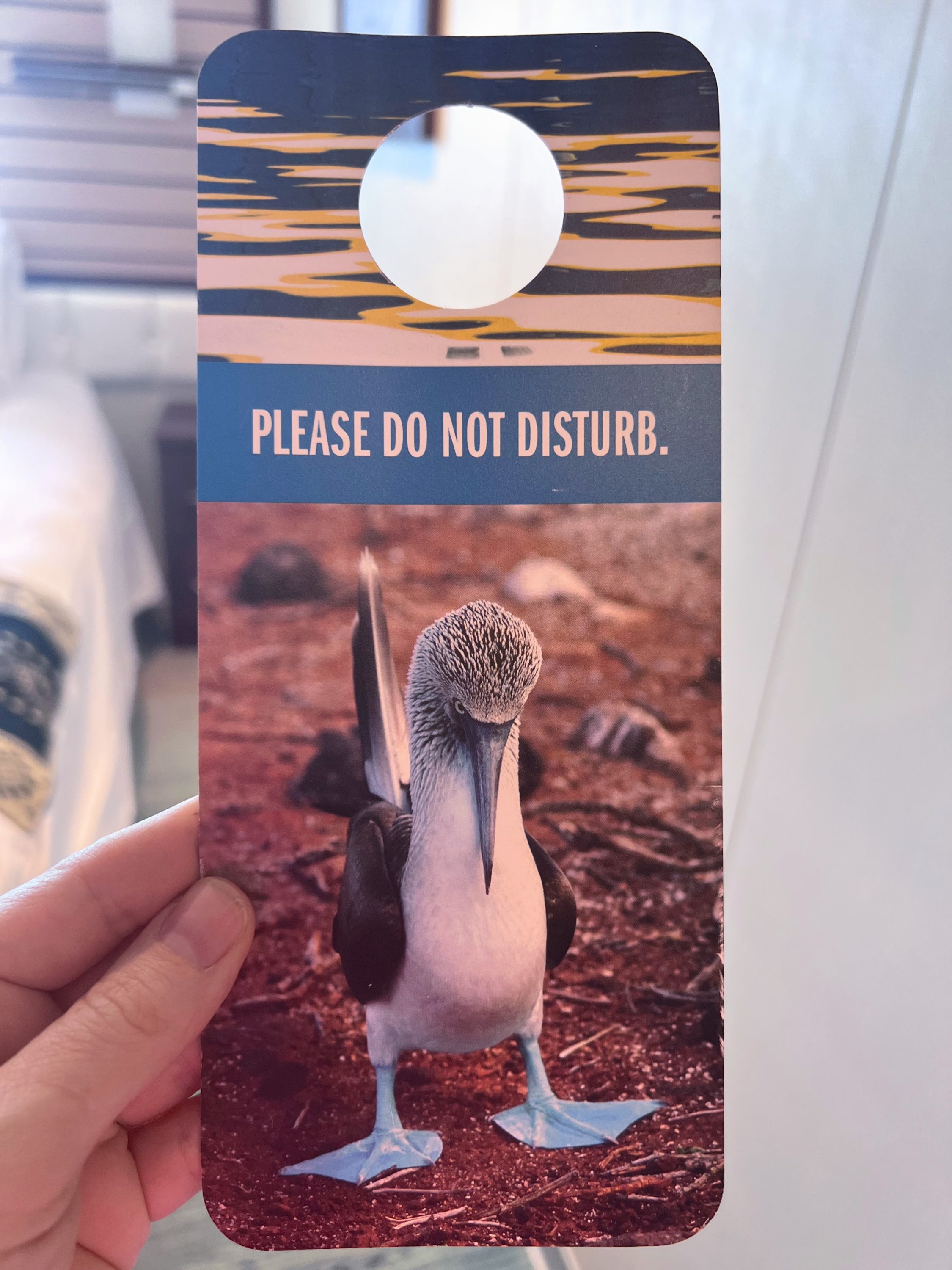 National Geographic Endeavour II do not disturb sign