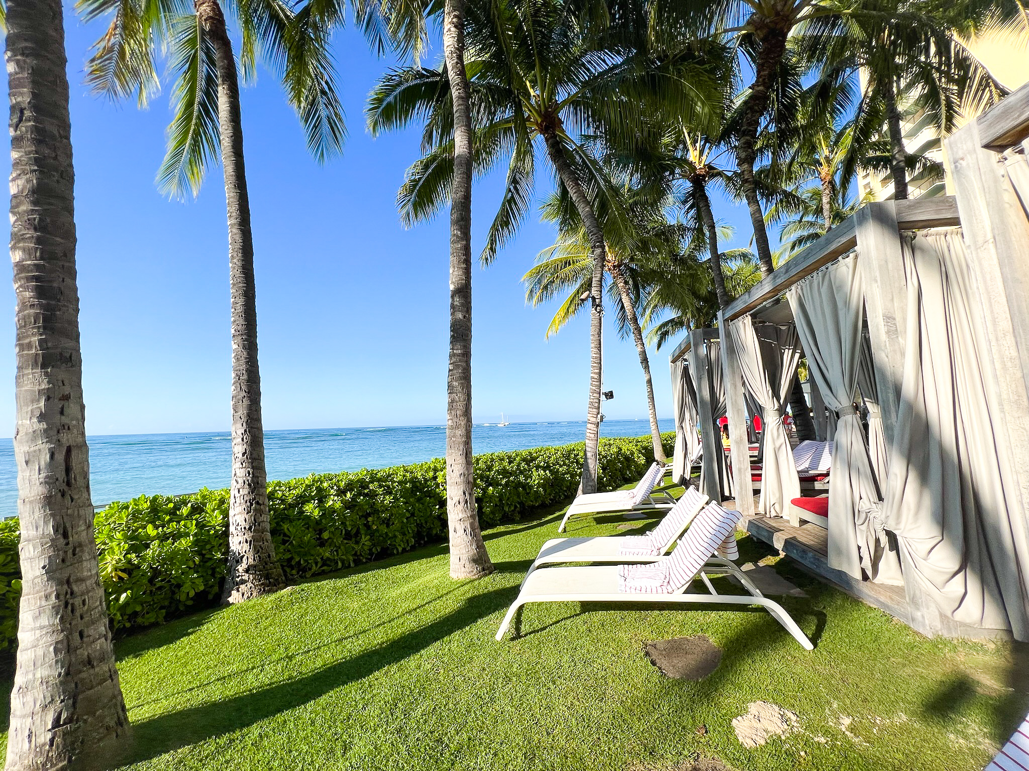 Sheraton Waikiki chaise loungers