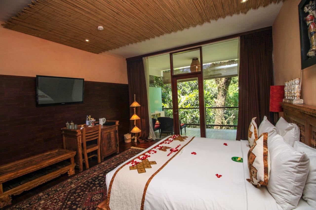 Jungle Retreat