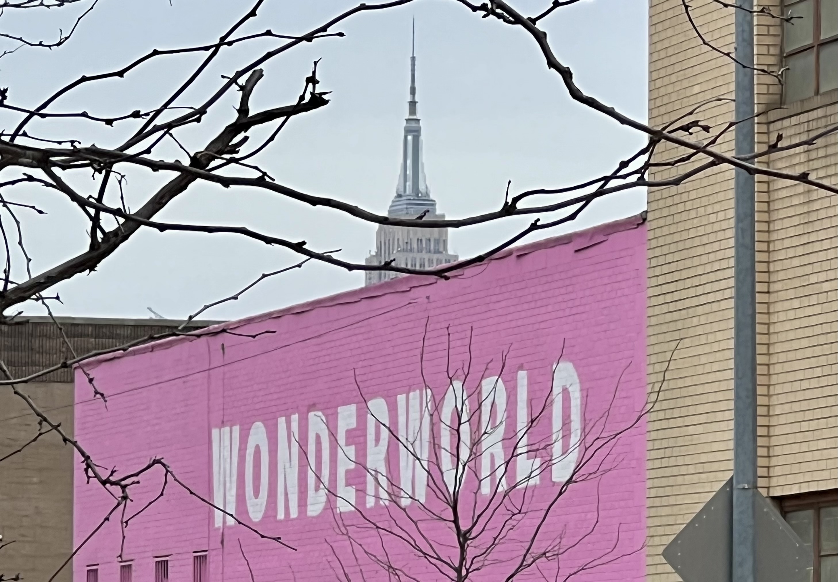 The Williamsburg Hotel Empire State view