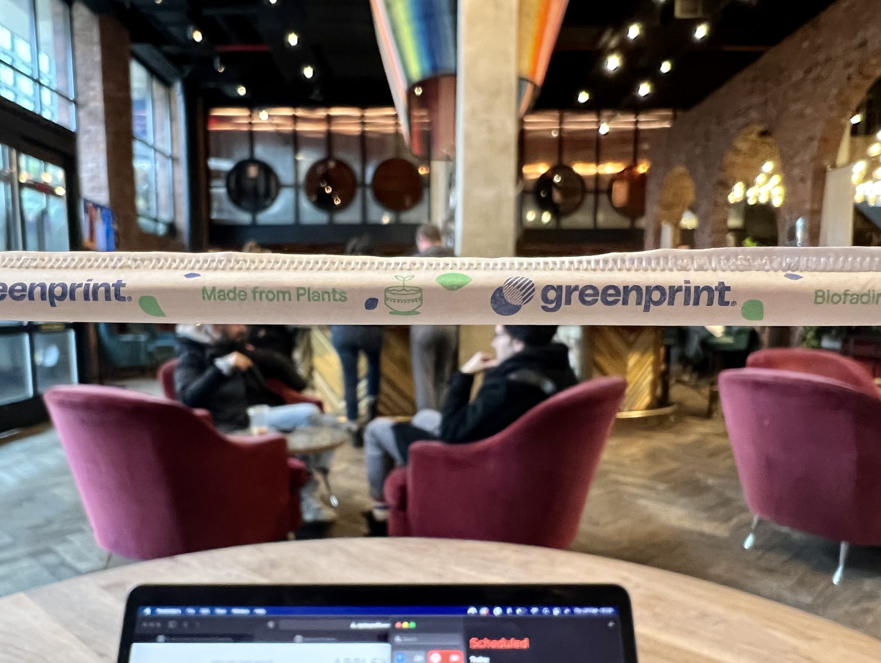 The Williamsburg Hotel bar green straw
