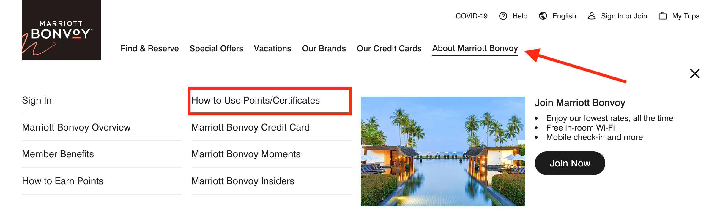 How to find Marriott cruises