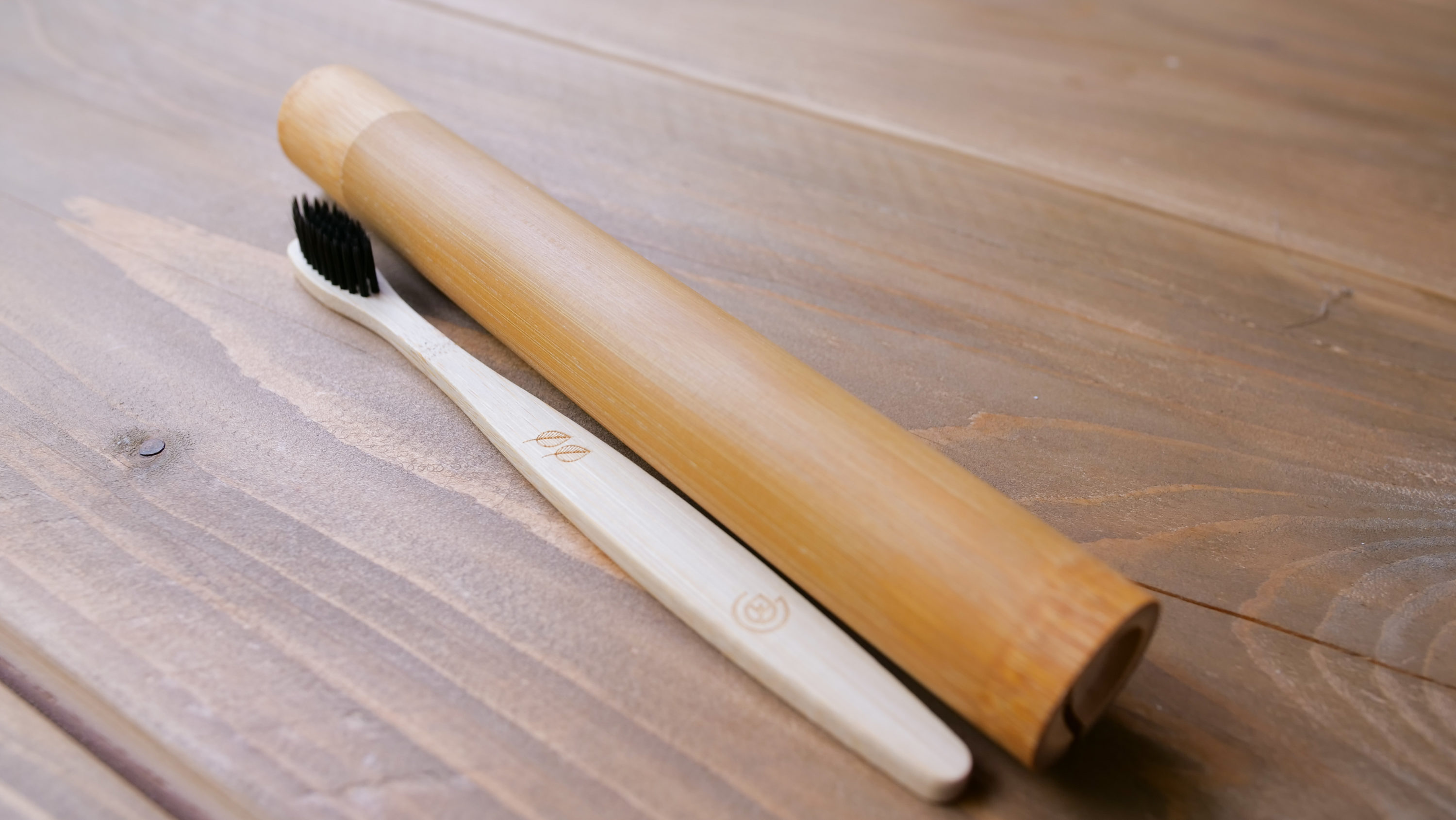 Travel toothbrush design
