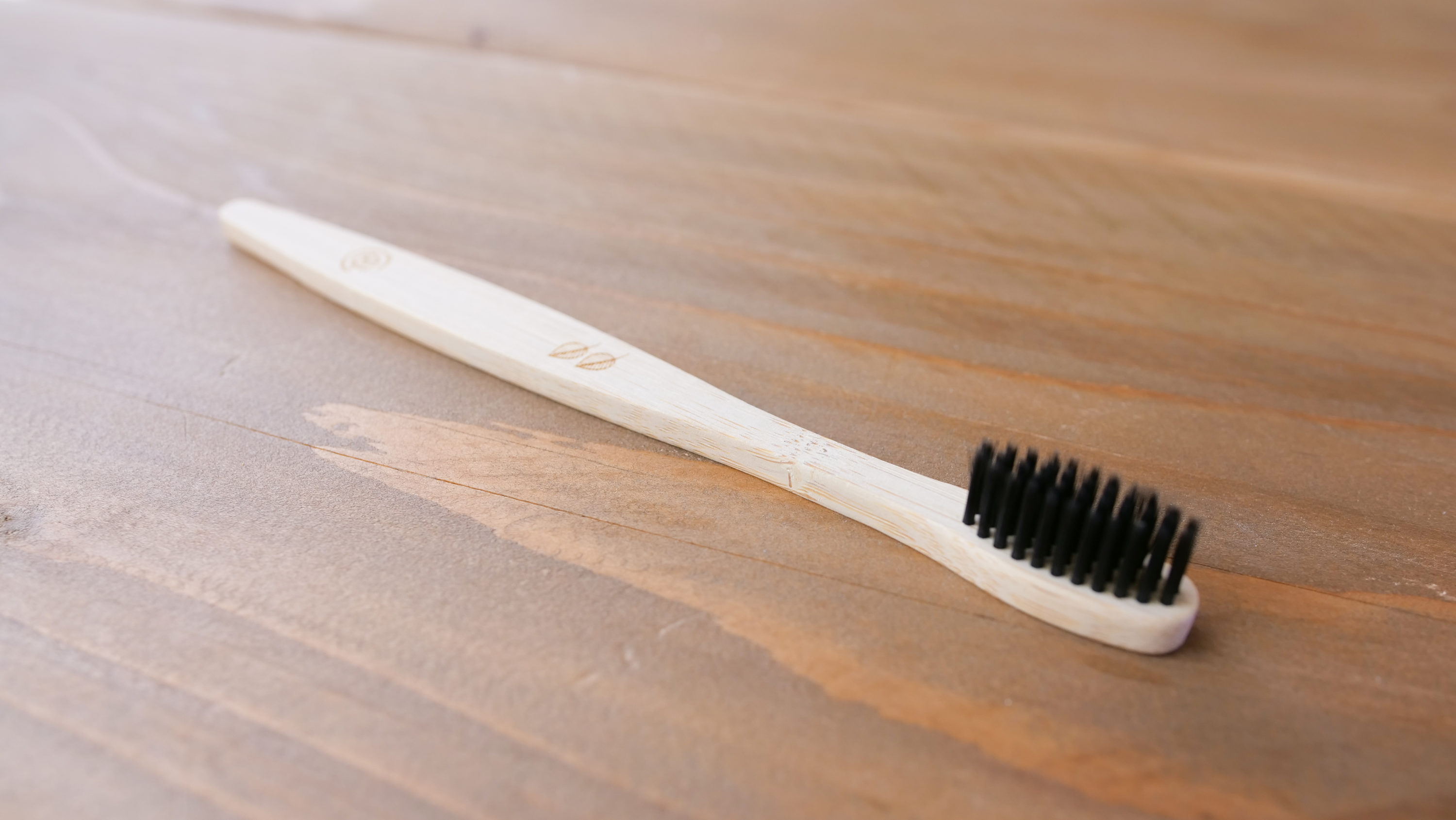 Travel toothbrush