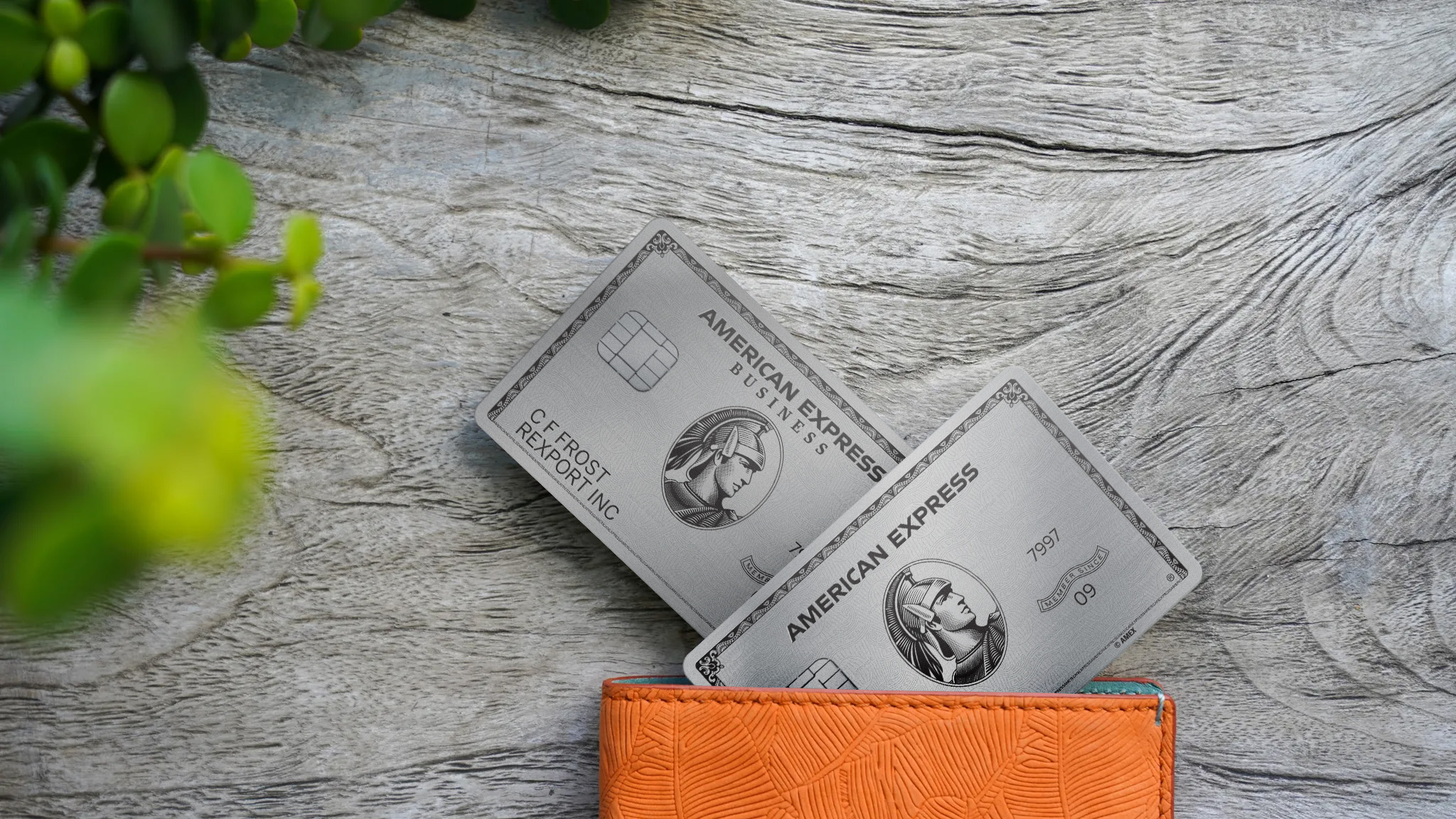 Amex Platinum Amex Business Platinum Upgraded Points LLC Large