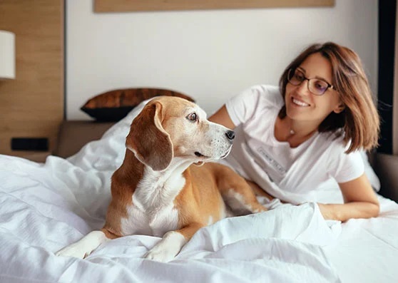 Holiday Inn Express Suites Atascadero pet friendly