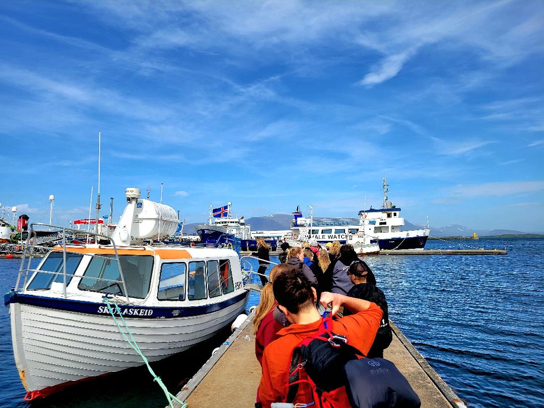 Reykjavik Konsulat Hotel Boat Tour
