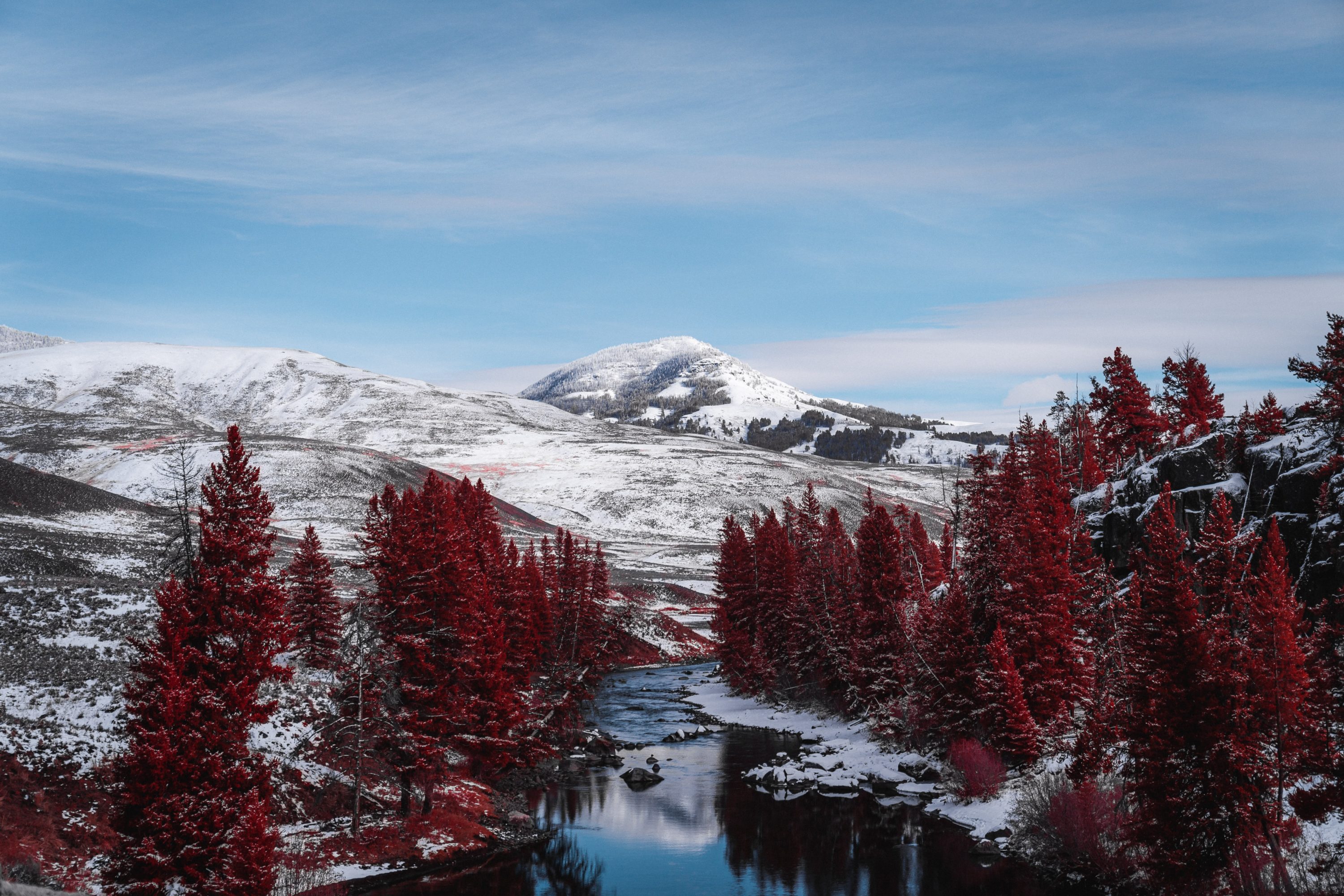 Yellowstone in winter