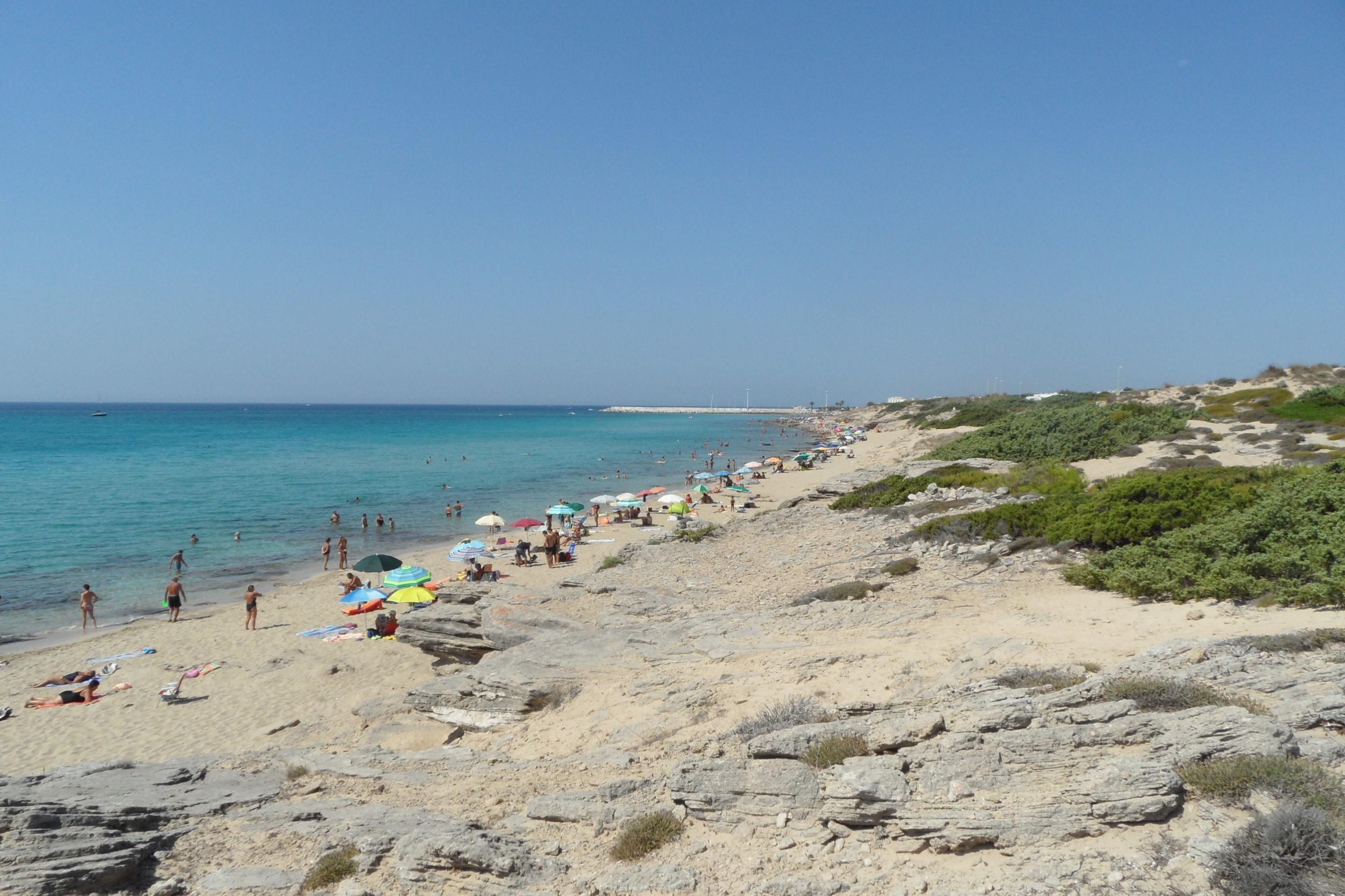 Campomarino