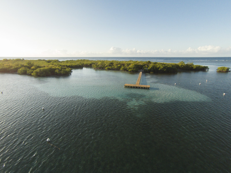 Cayo Aurora Guanica
